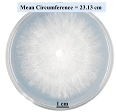 Biomimetics 09 00251 i003