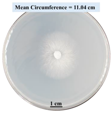 Biomimetics 09 00251 i005