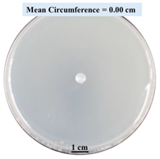 Biomimetics 09 00251 i007