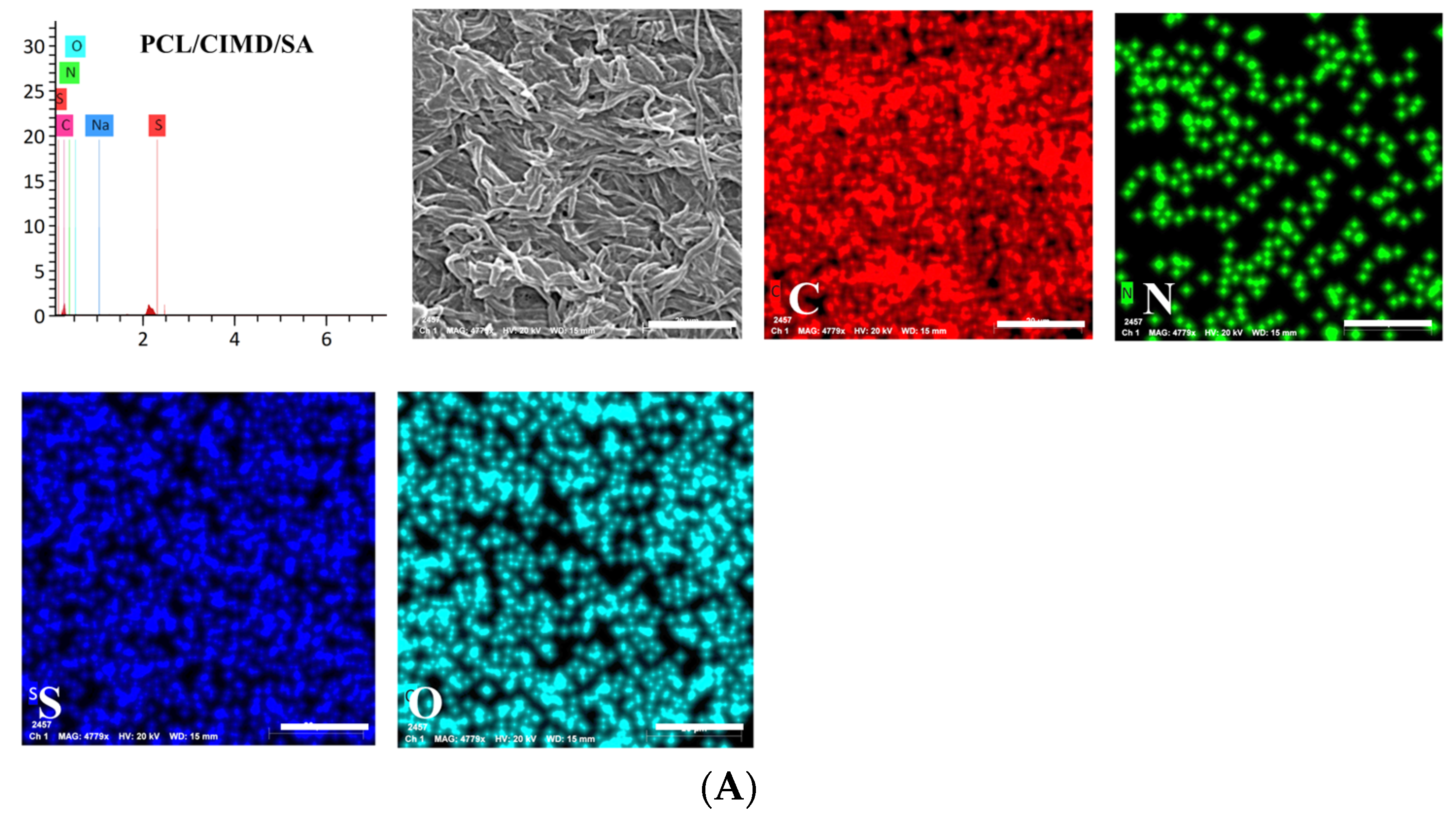 Biomimetics 09 00253 g003a