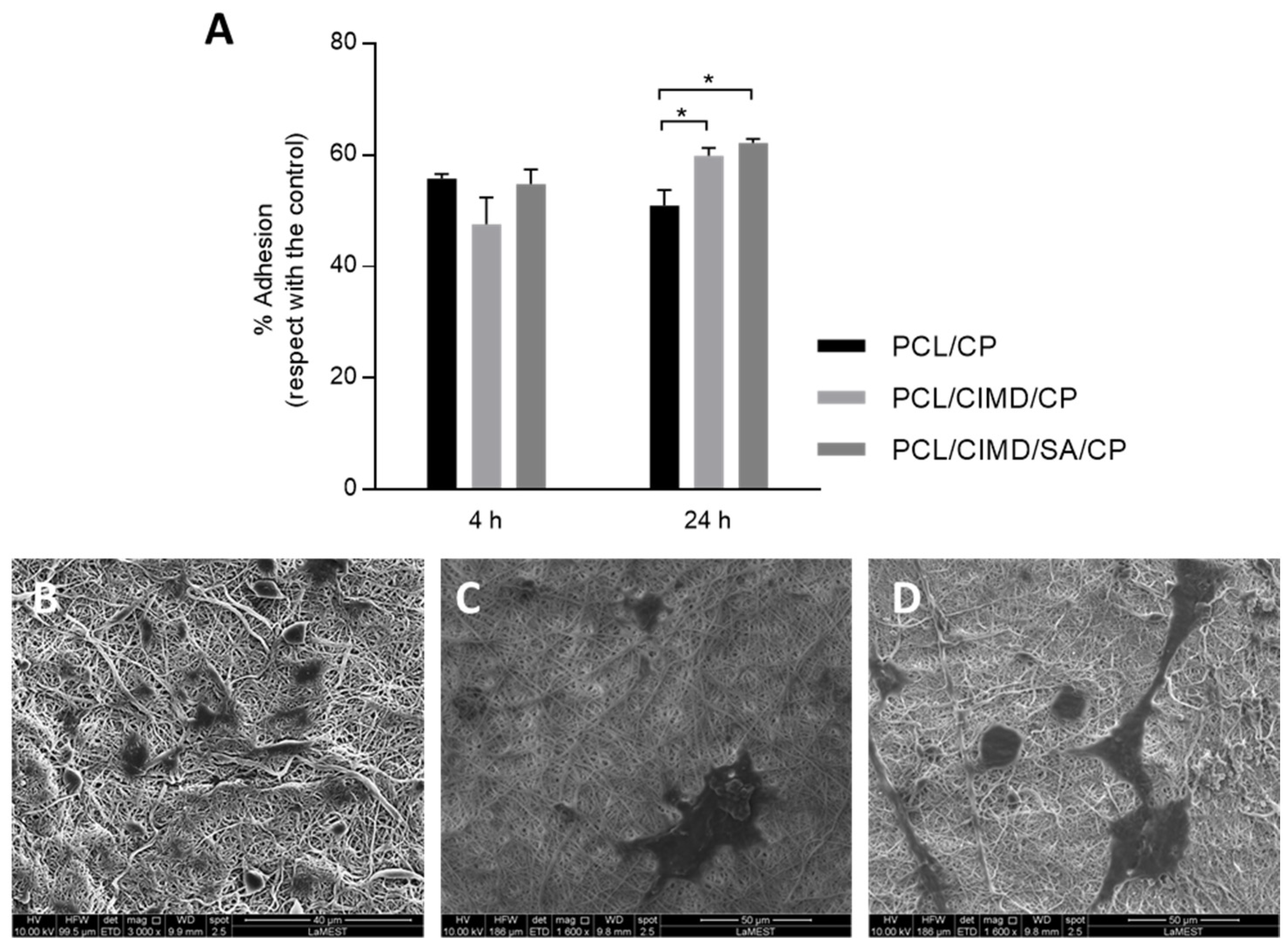 Biomimetics 09 00253 g004