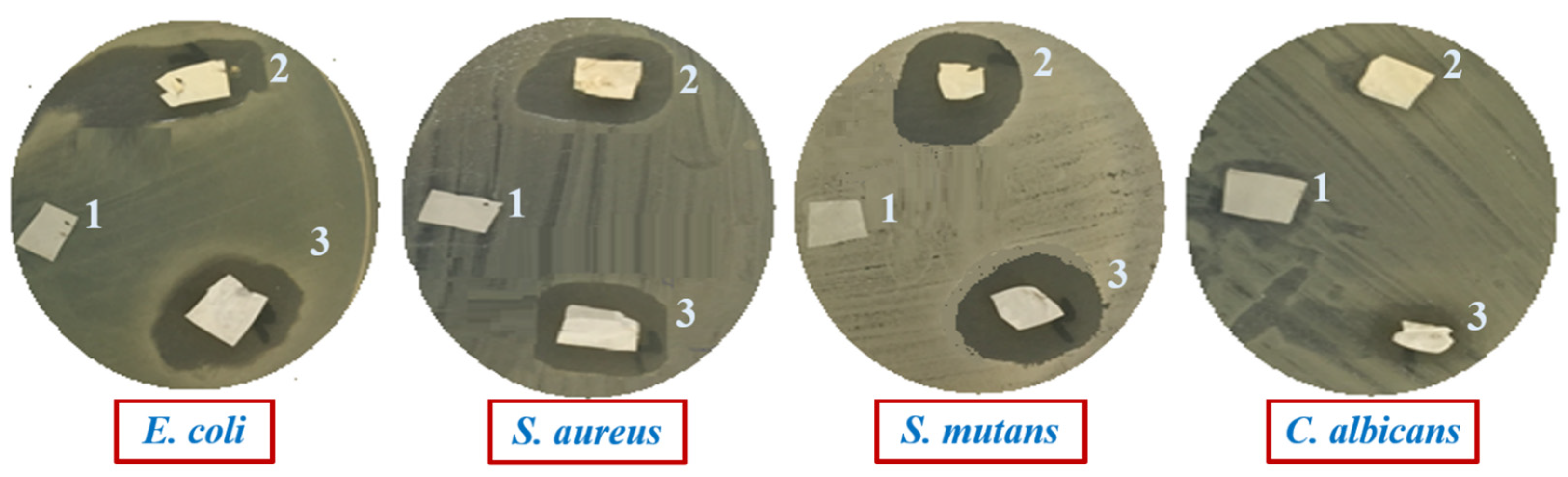 Biomimetics 09 00253 g007