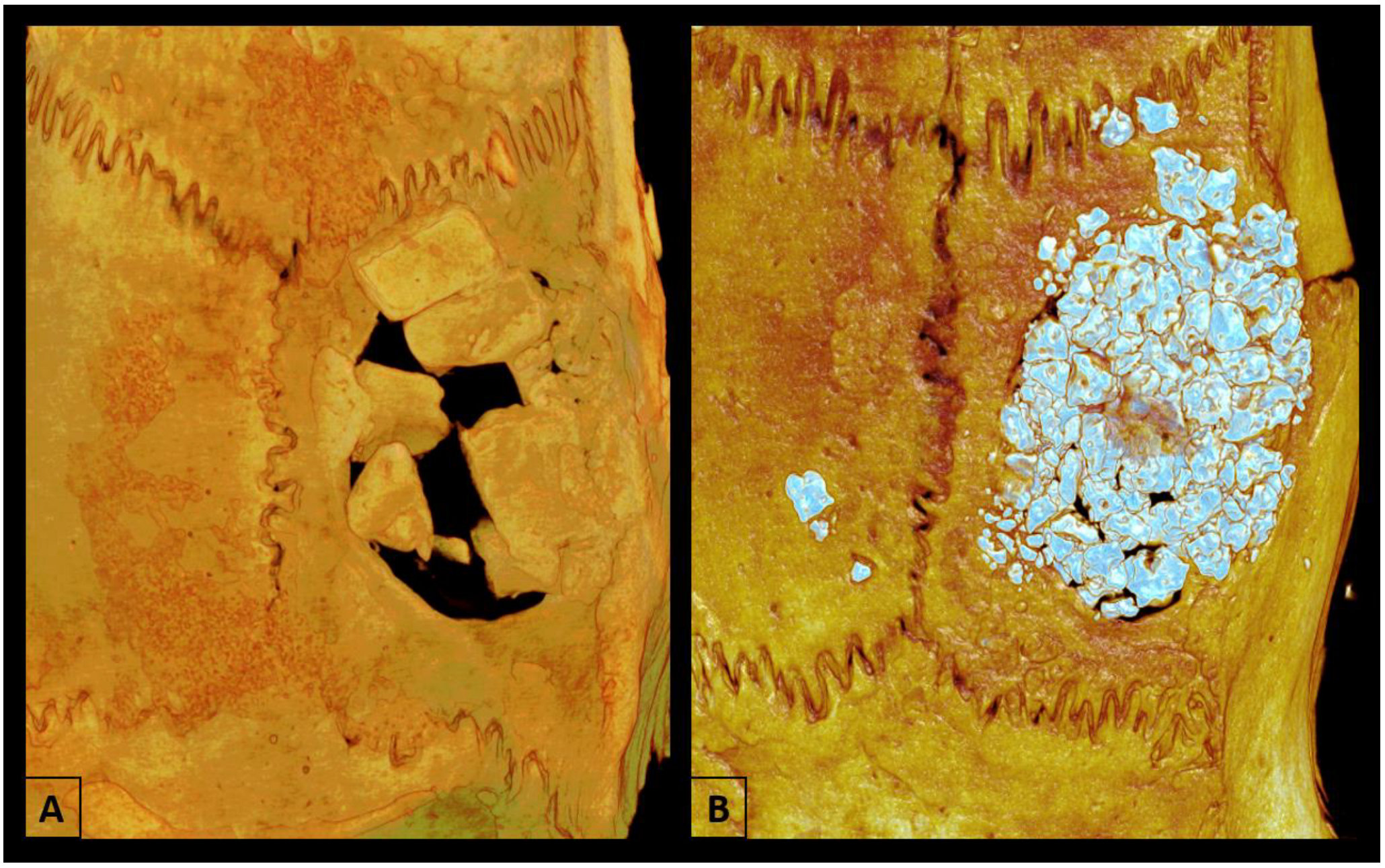 Biomimetics 09 00284 g002