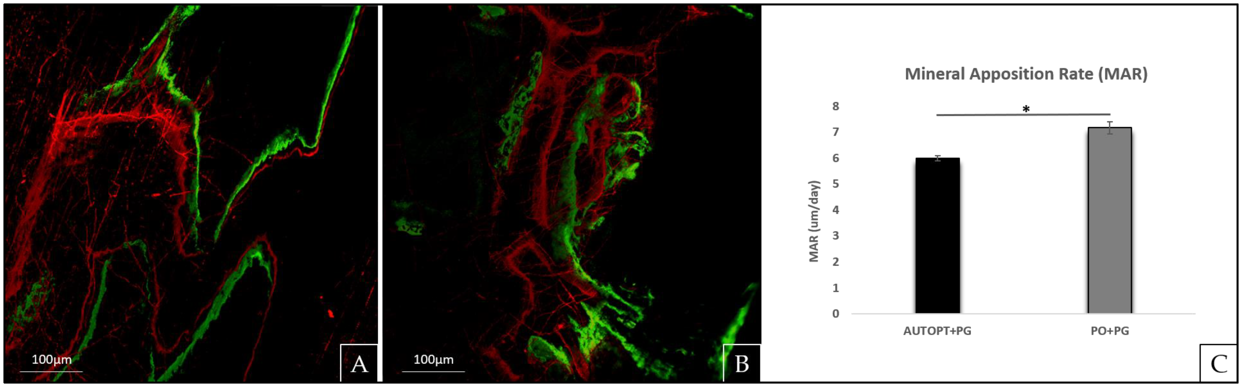 Biomimetics 09 00284 g004