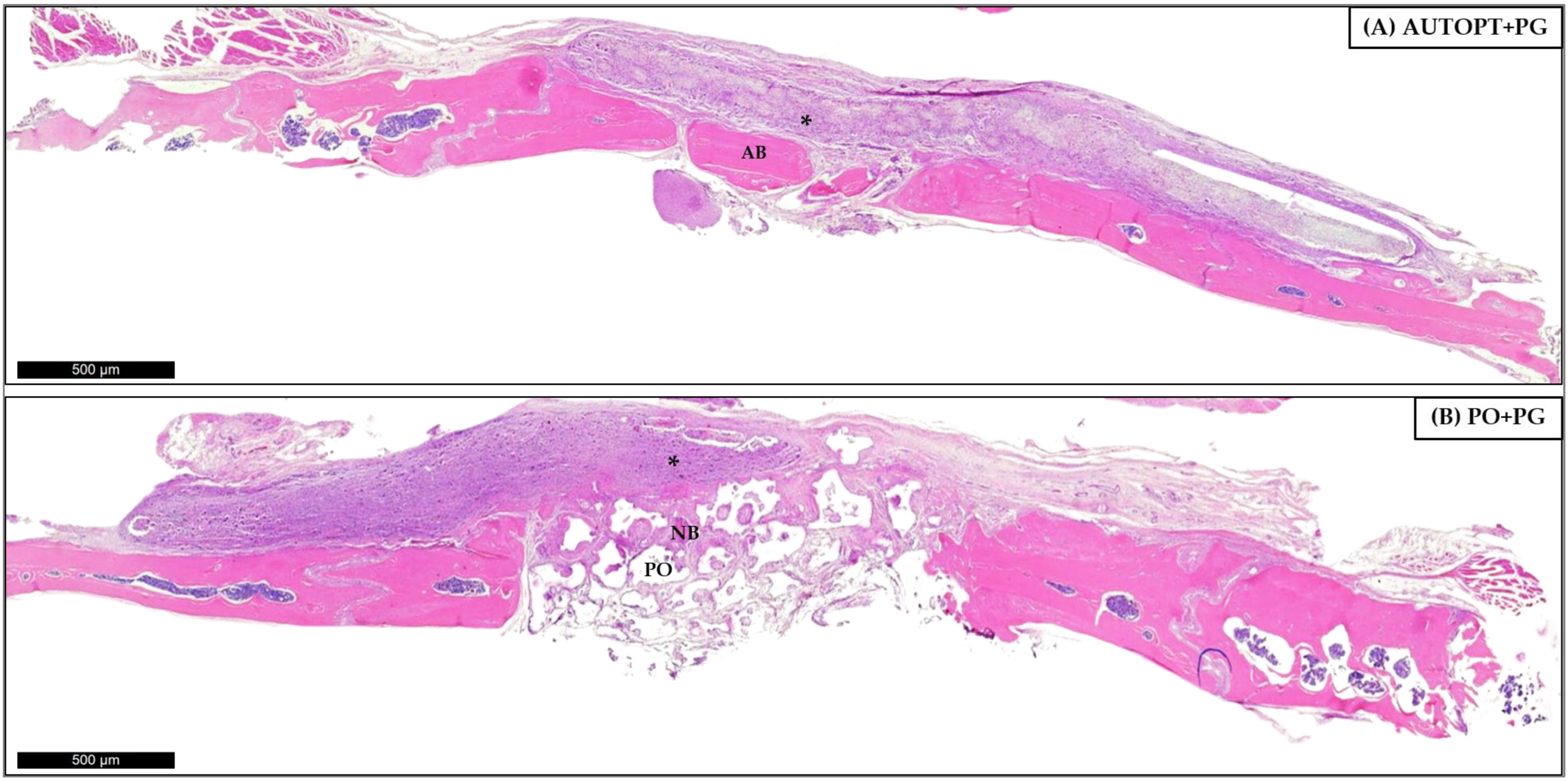 Biomimetics 09 00284 g008
