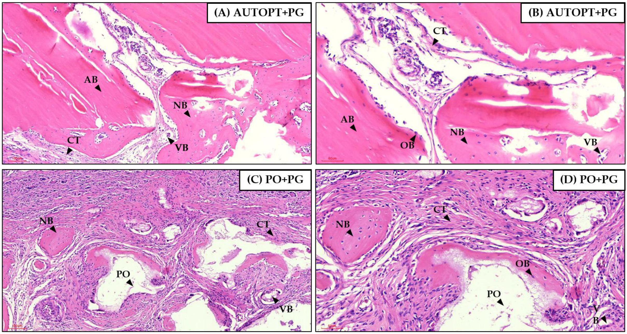 Biomimetics 09 00284 g009