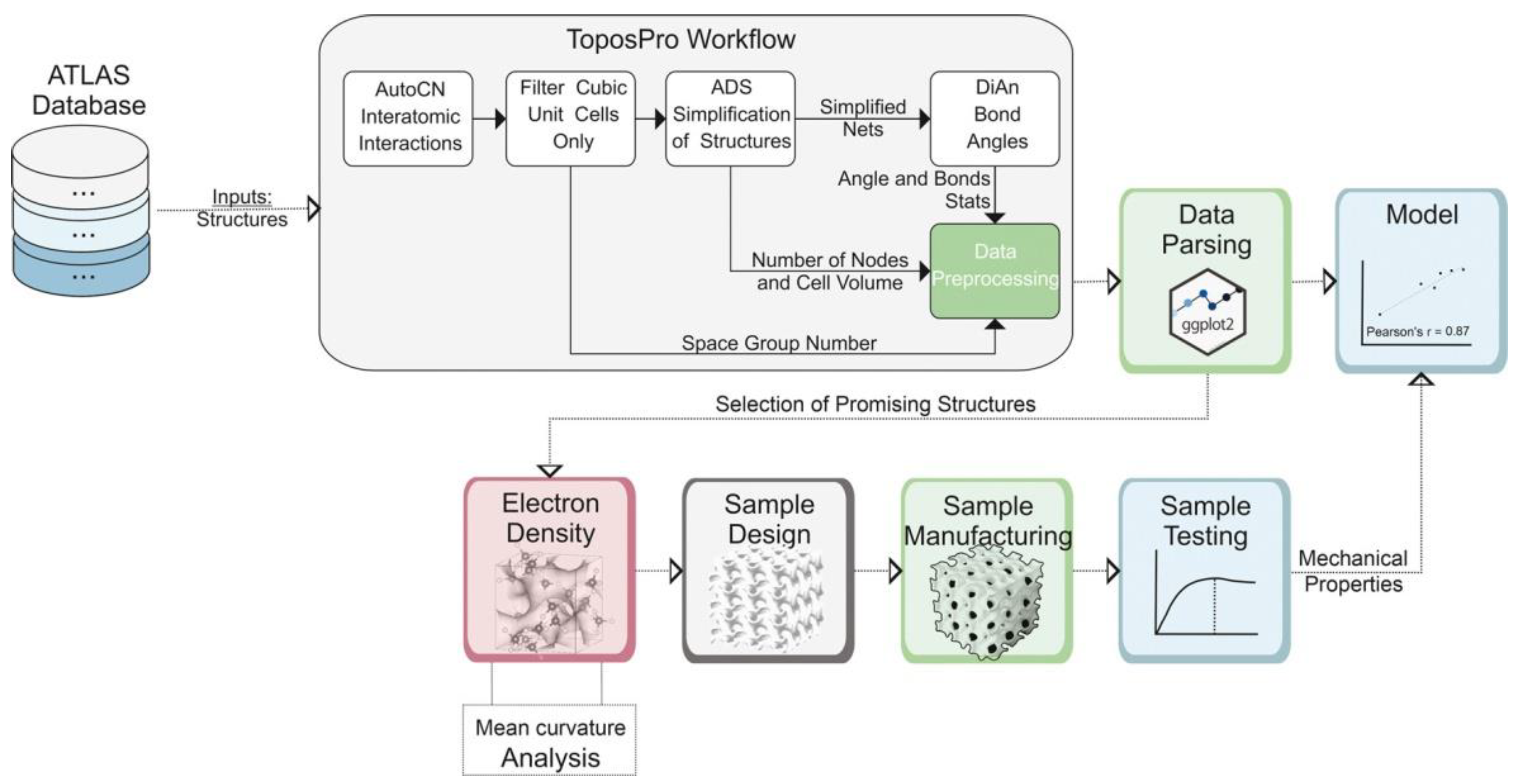 Biomimetics 09 00285 g007