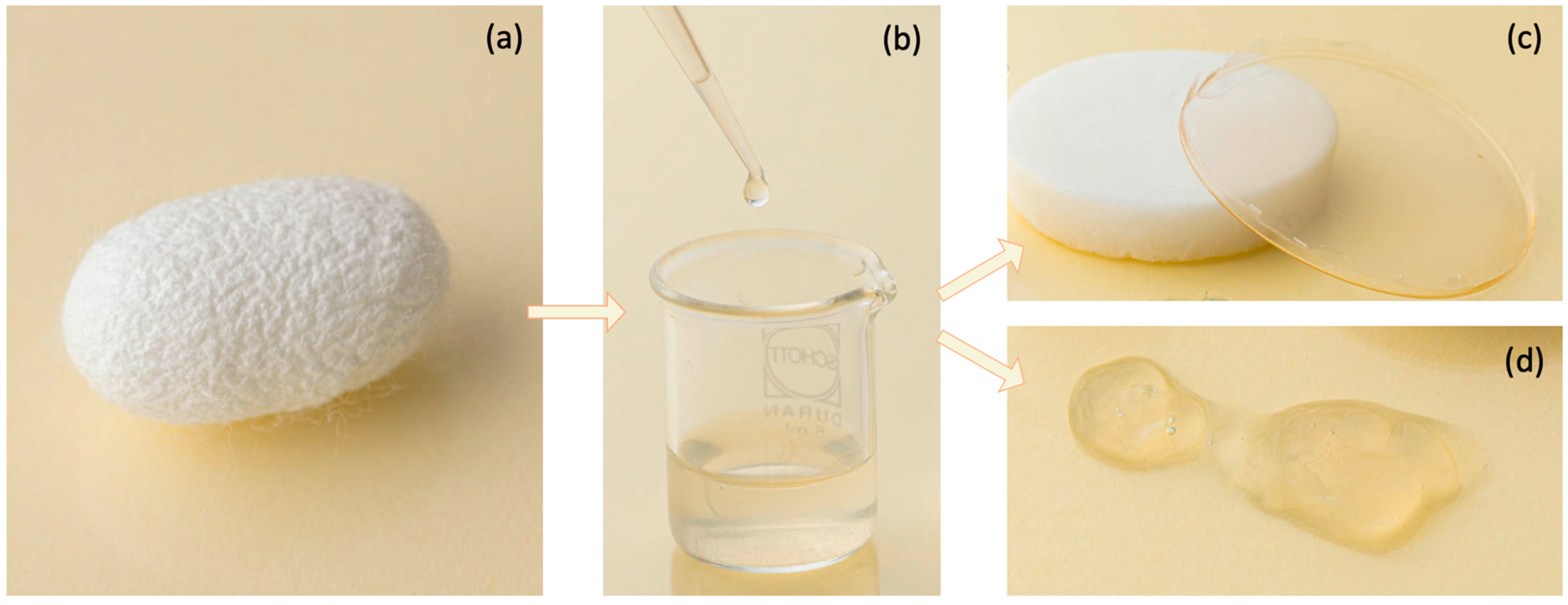 Biomimetics 09 00295 g001