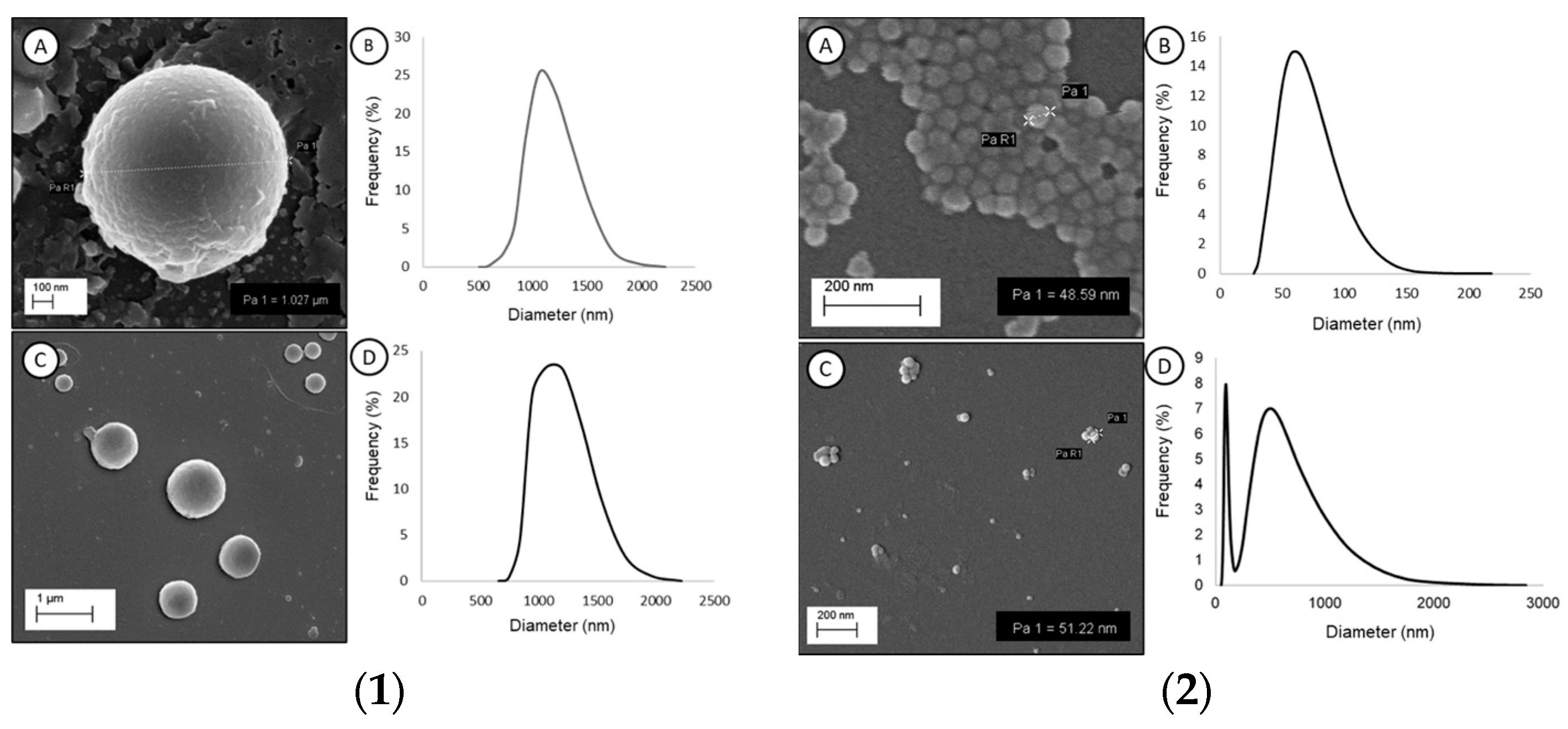 Biomimetics 09 00303 g001