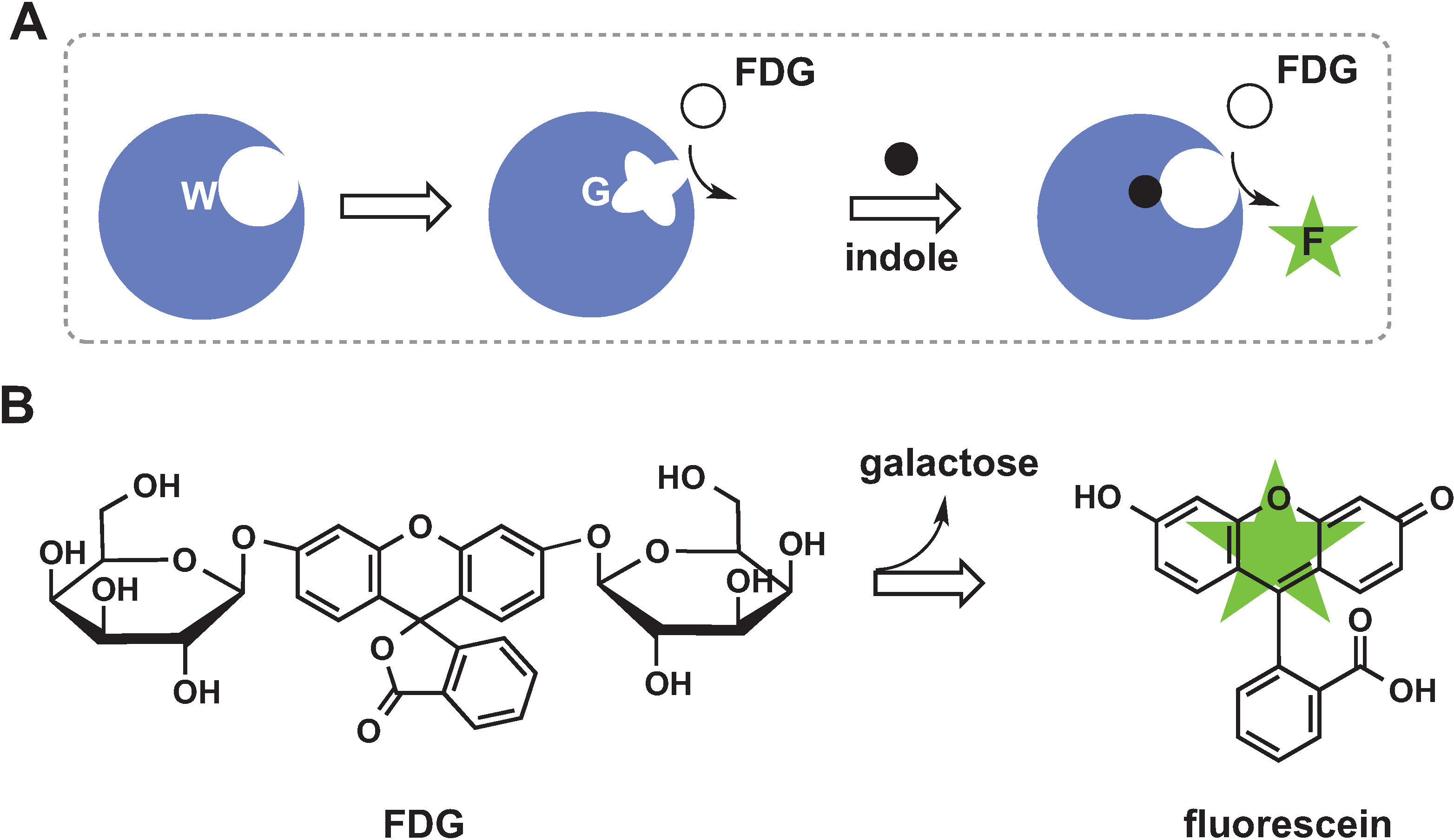 Biomolecules 04 00402 g005