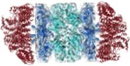 Biomolecules 04 00940 i004