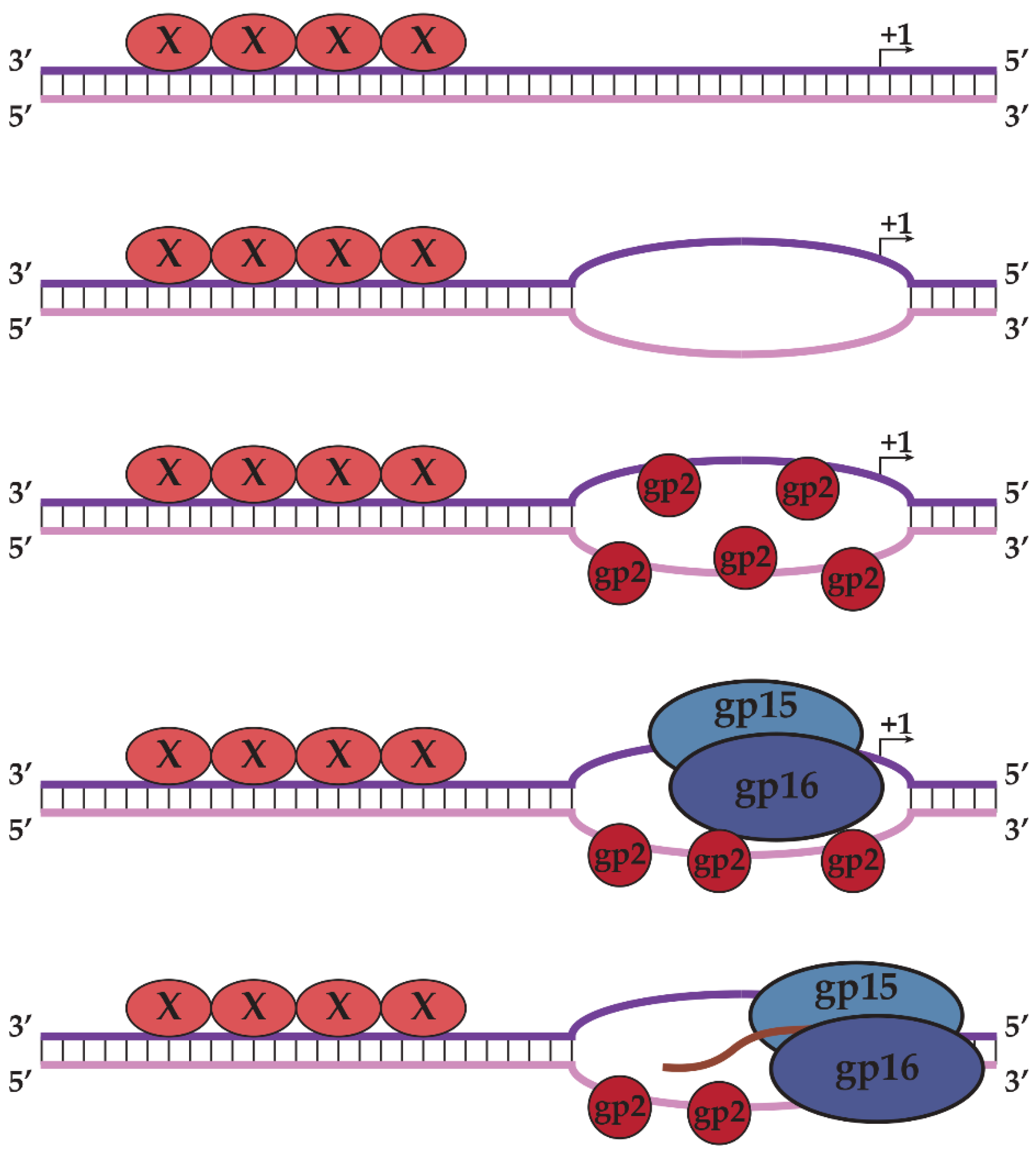Biomolecules 05 00647 g007
