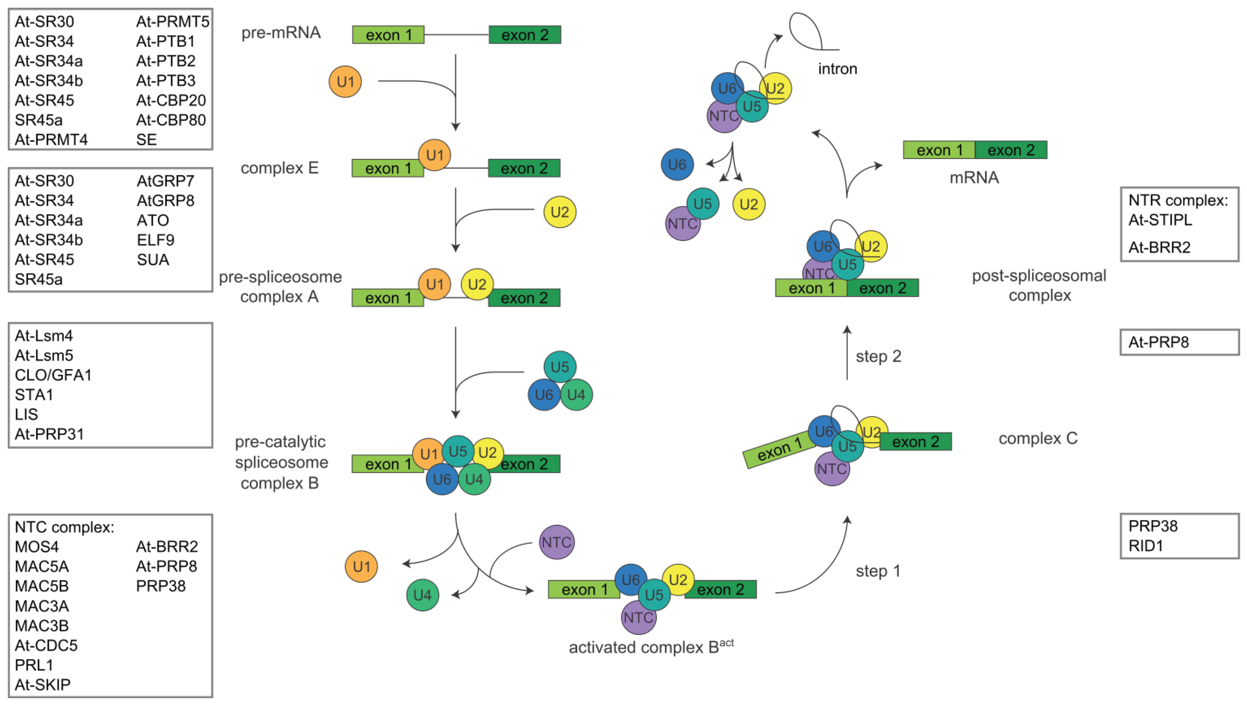 Biomolecules 05 01717 g002