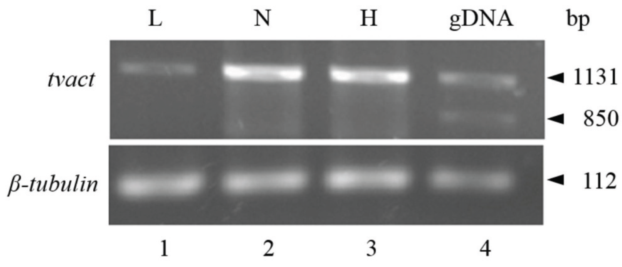 Biomolecules 05 03354 g010