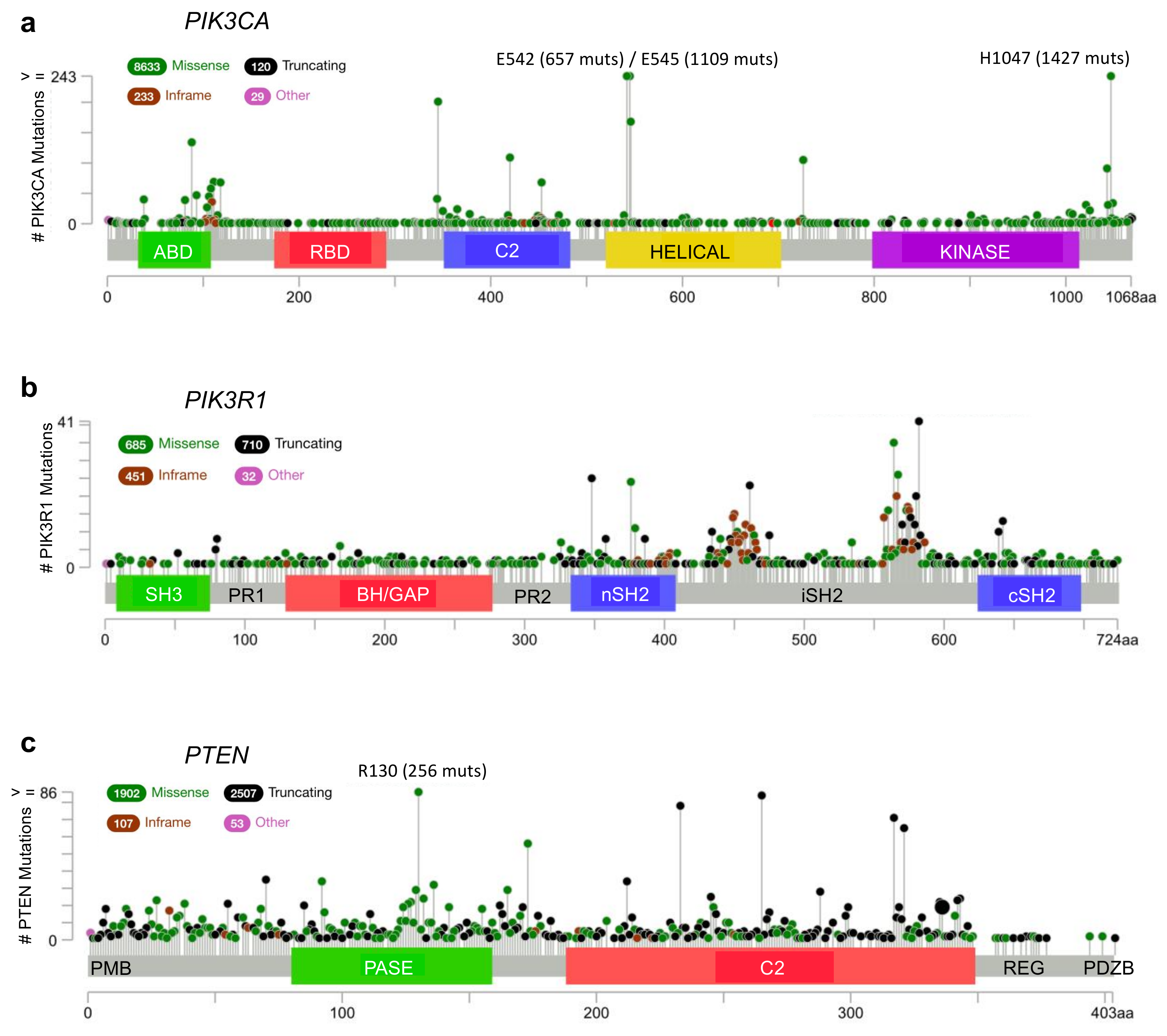 Biomolecules 09 00029 g003