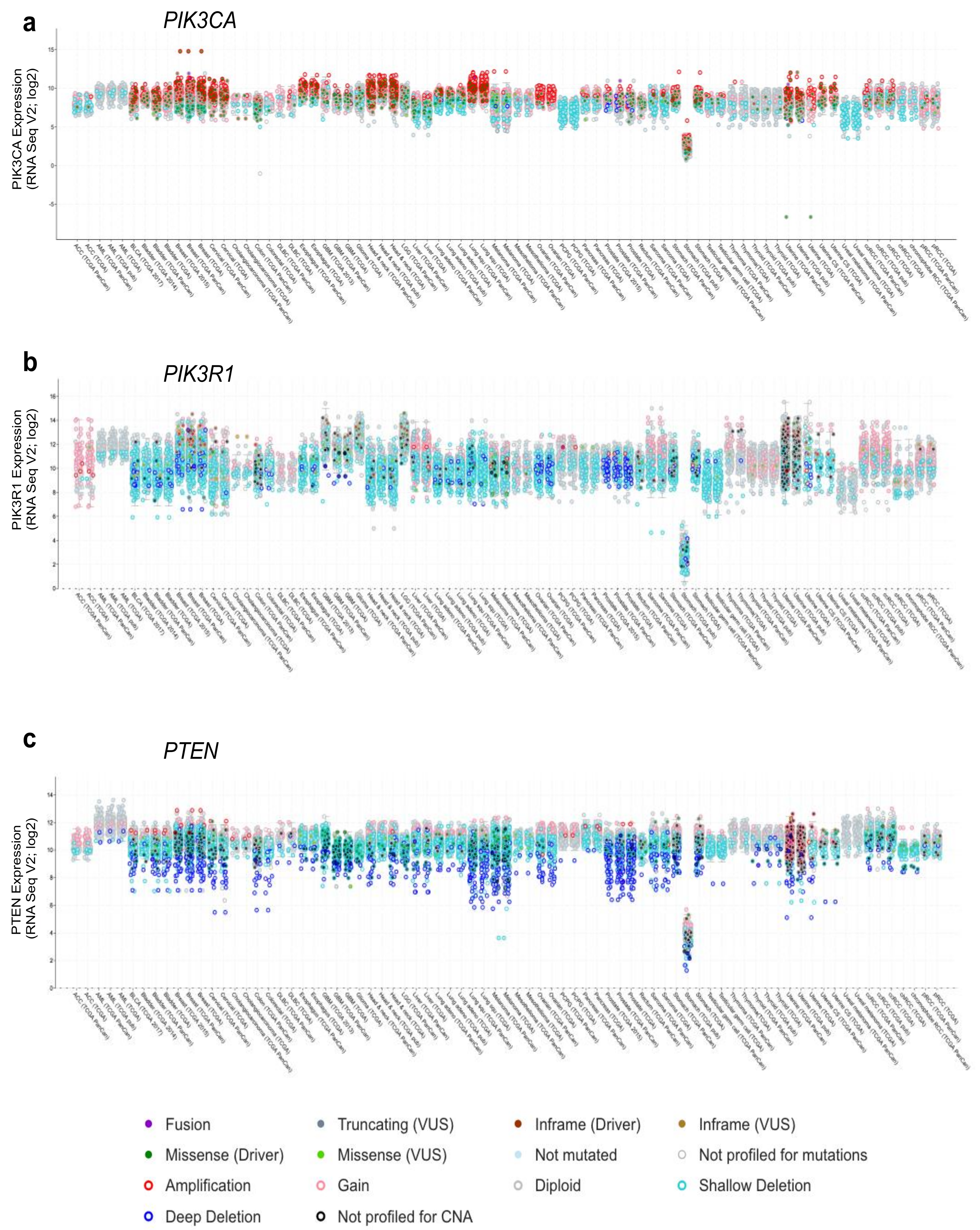 Biomolecules 09 00029 g004
