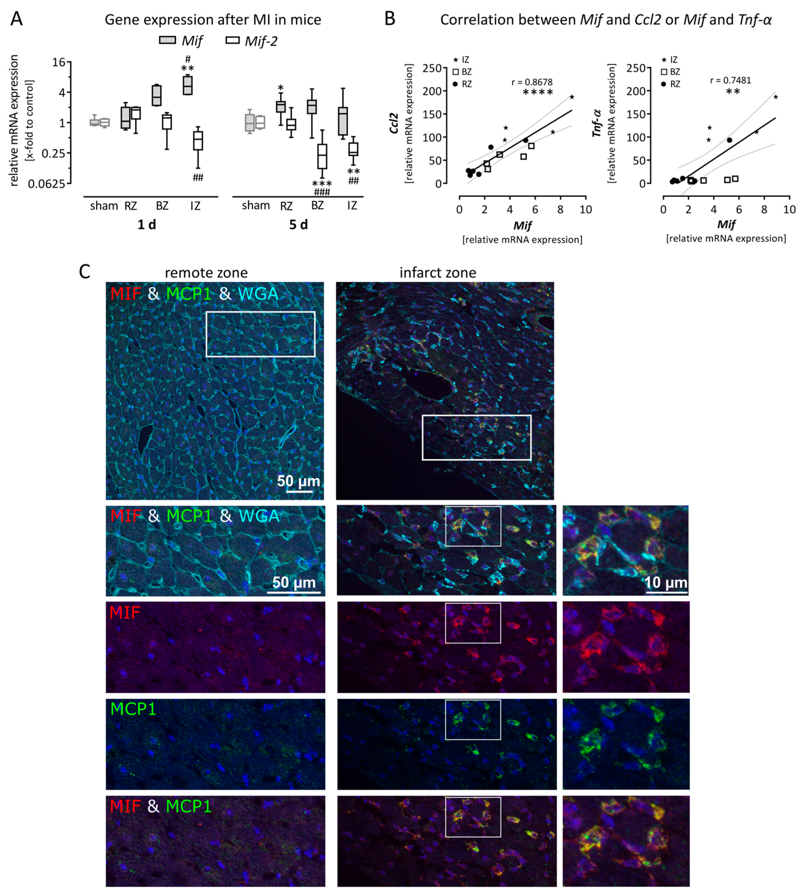 Biomolecules 09 00038 g001
