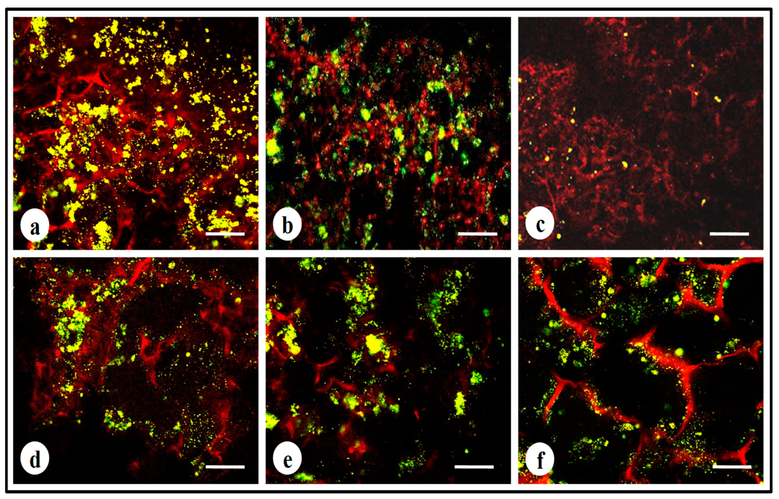 Biomolecules 09 00123 g007