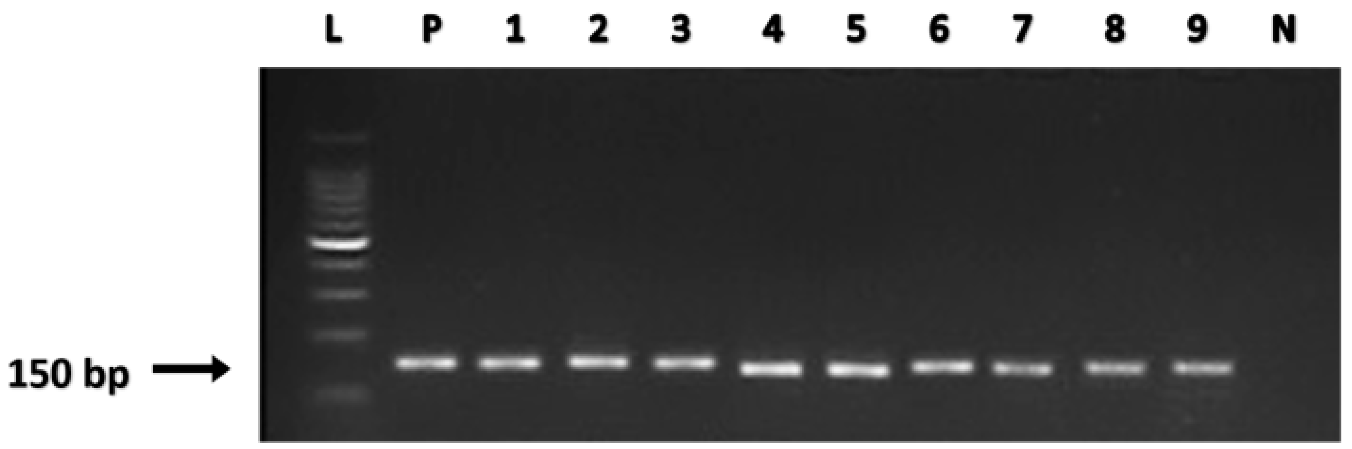 Biomolecules 09 00148 g001 Biomolecules 09 00148 g001