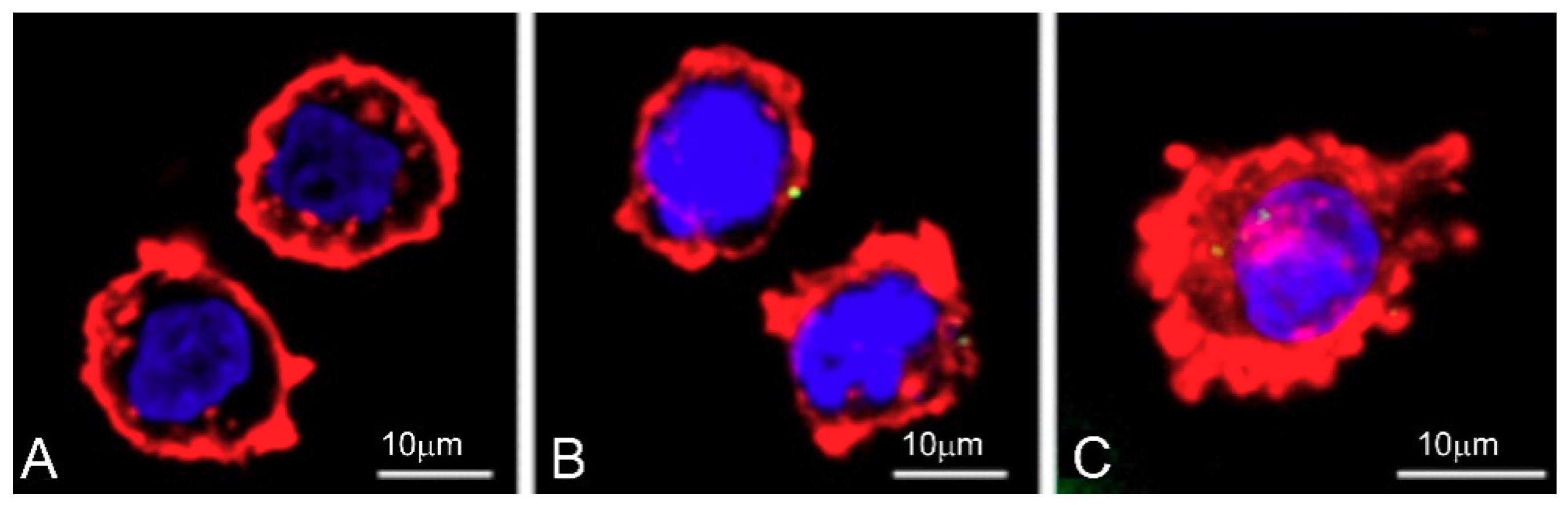 Biomolecules 09 00411 g009