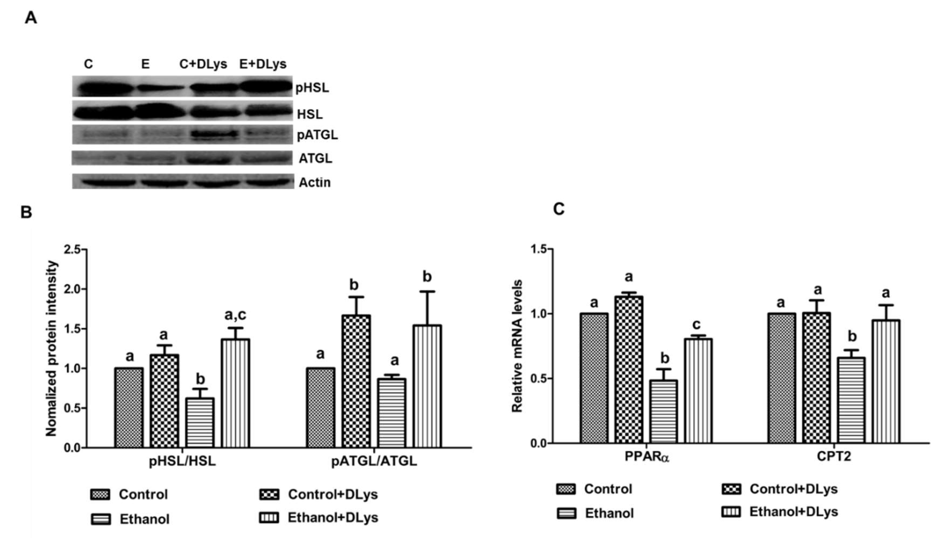 Biomolecules 09 00517 g004