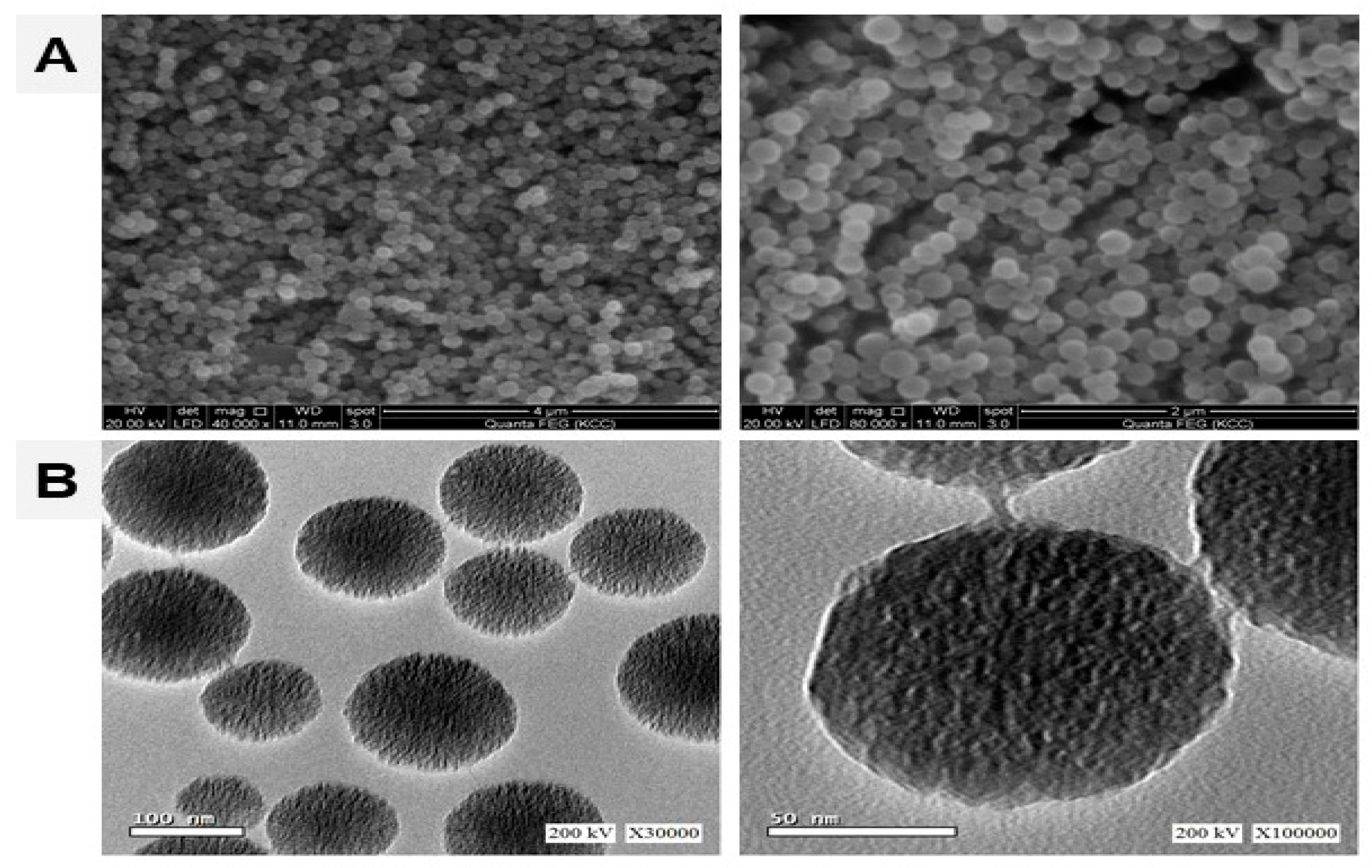 Biomolecules 09 00528 g001