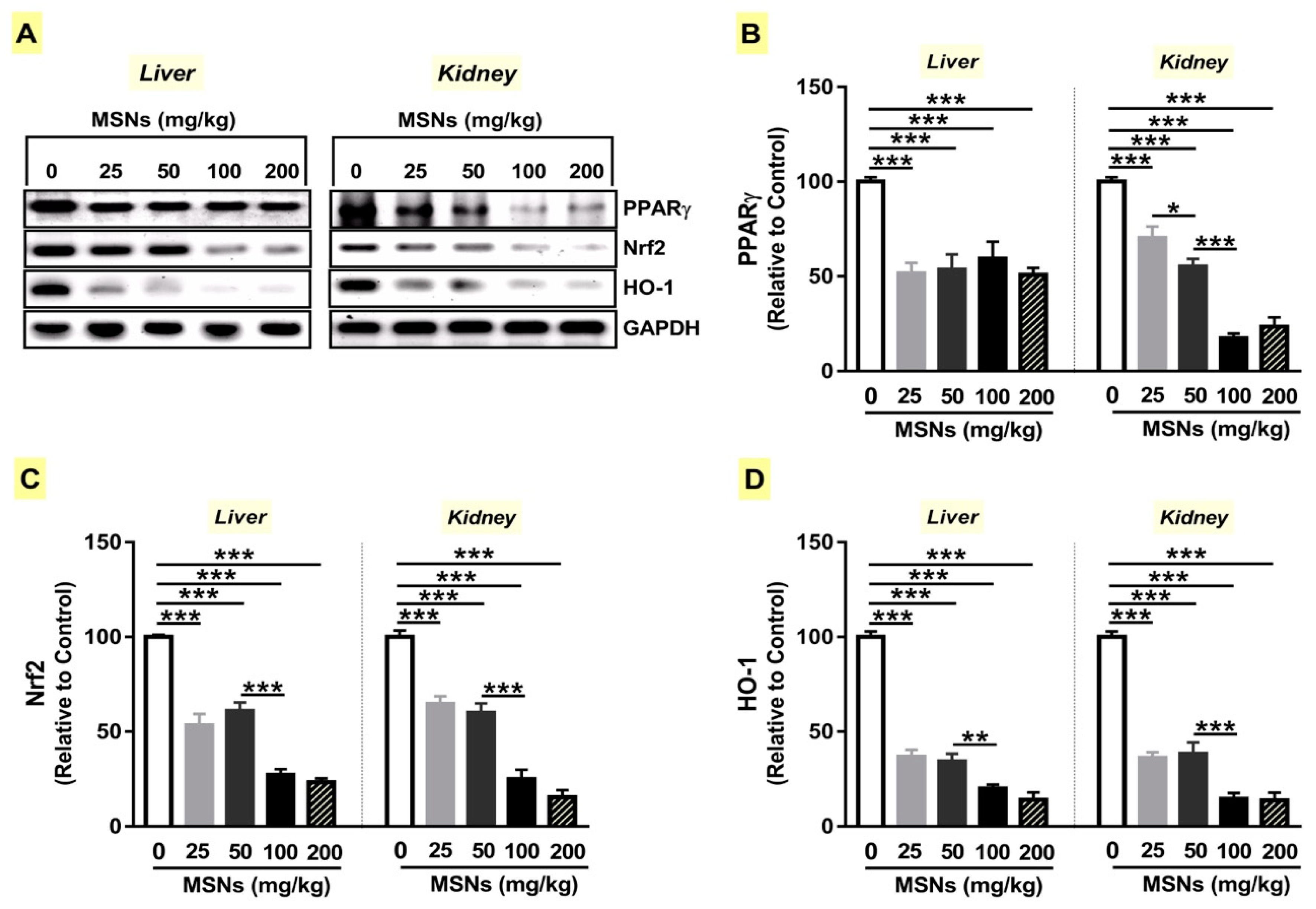 Biomolecules 09 00528 g004