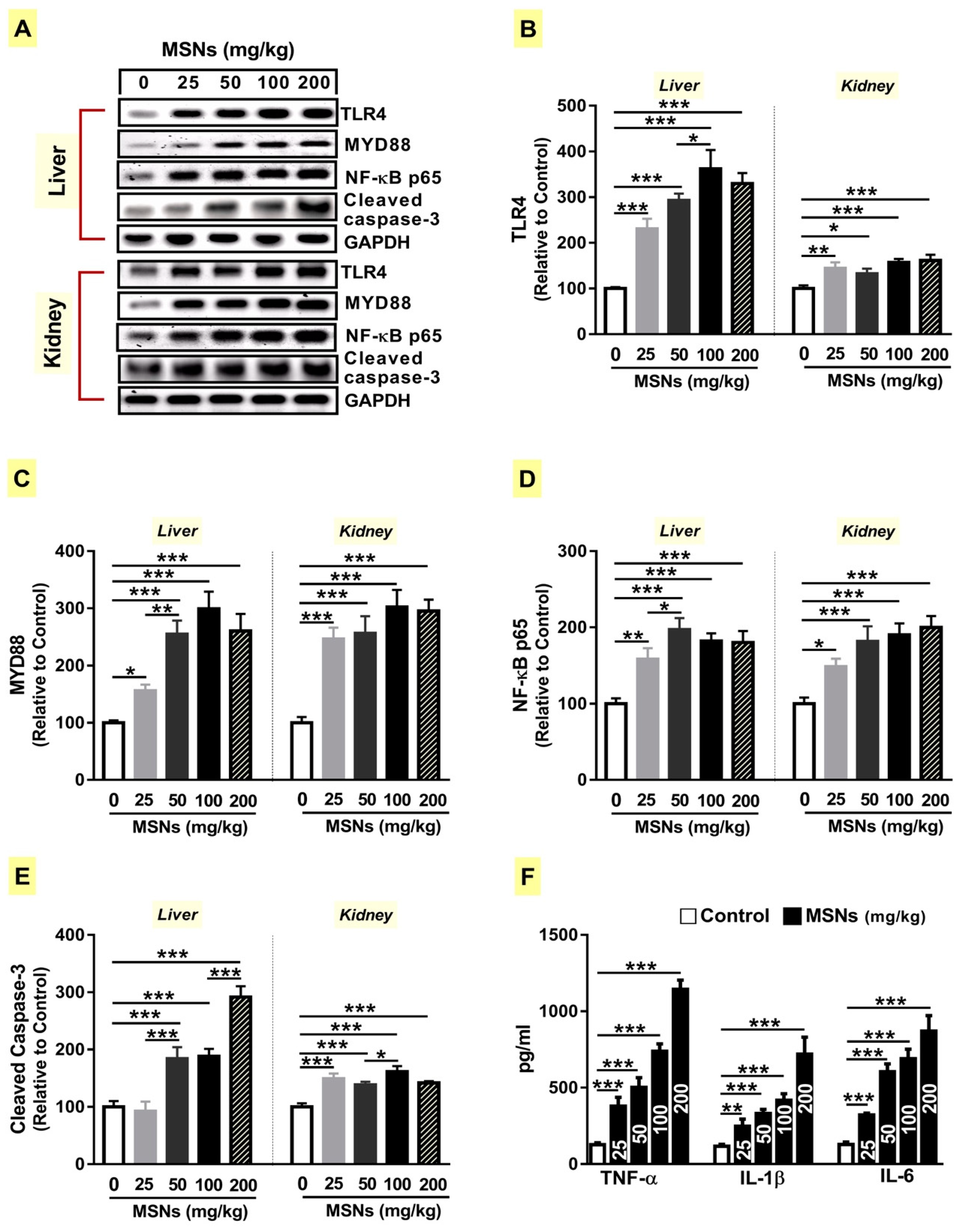 Biomolecules 09 00528 g005