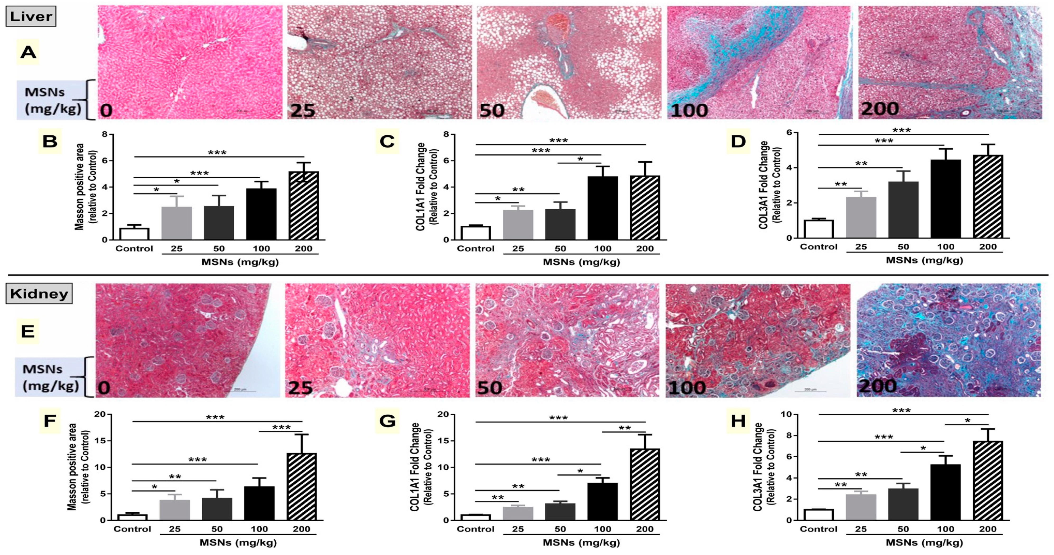 Biomolecules 09 00528 g006
