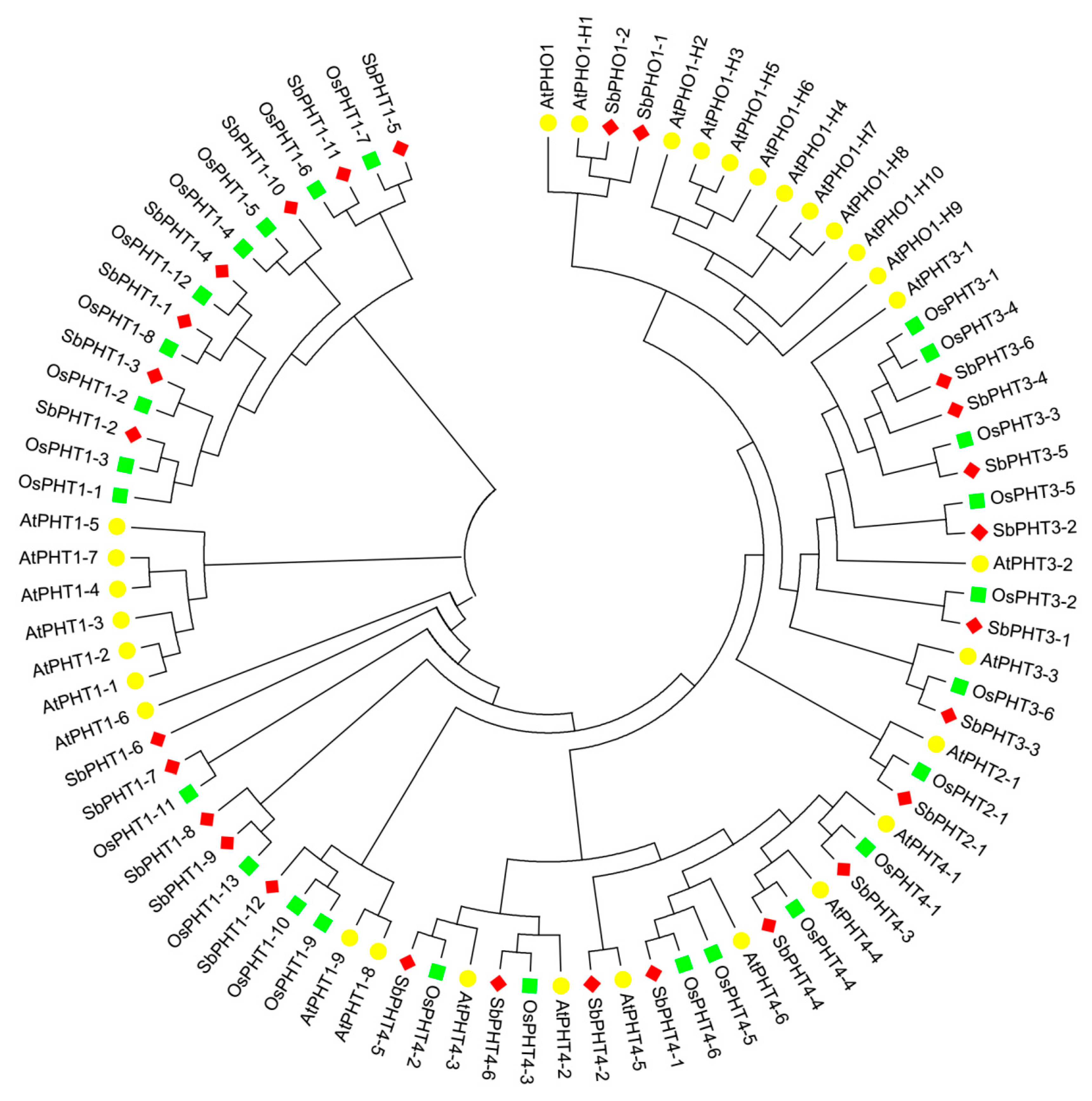 Biomolecules 09 00670 g001