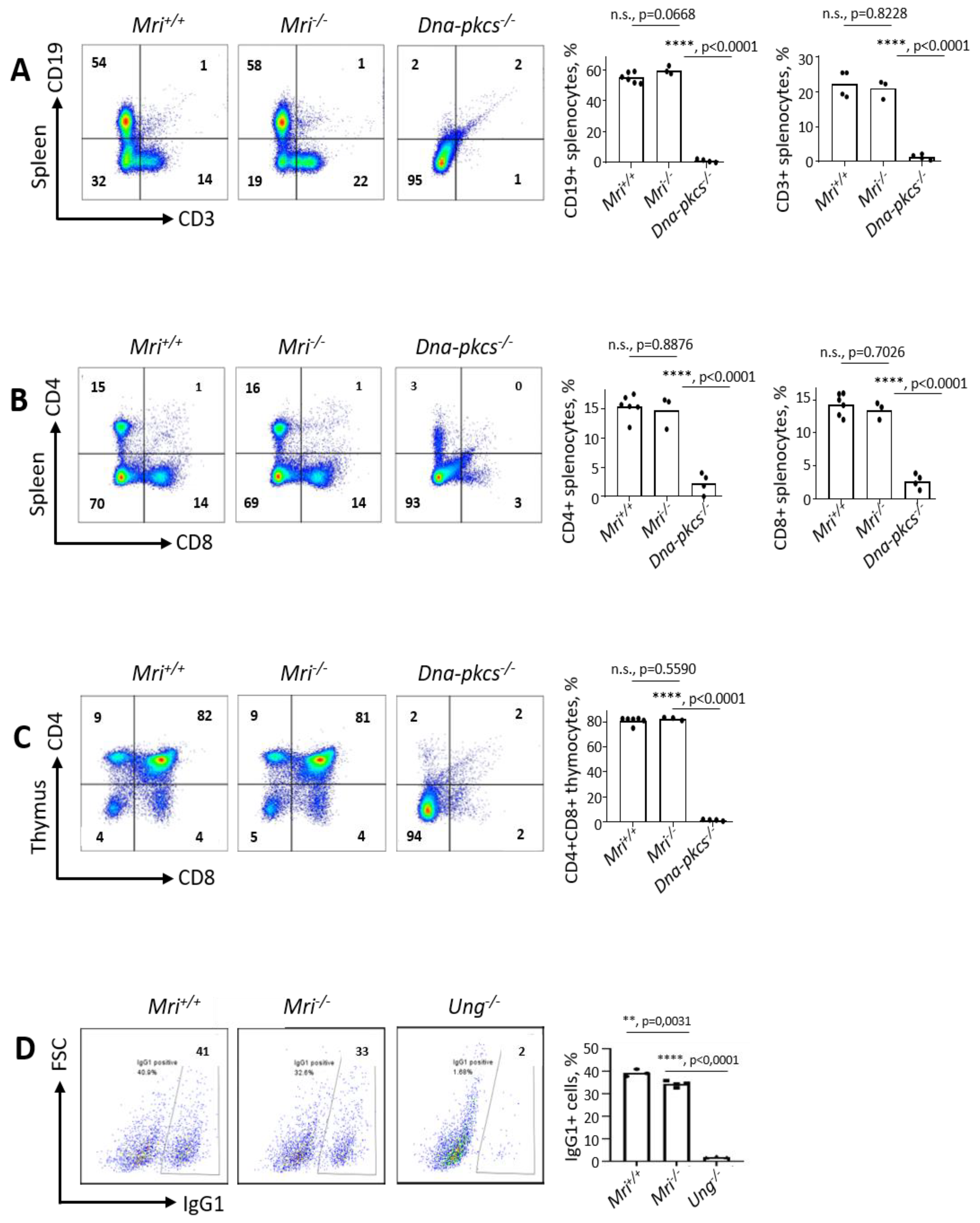 Biomolecules 09 00798 g002 Biomolecules 09 00798 g002