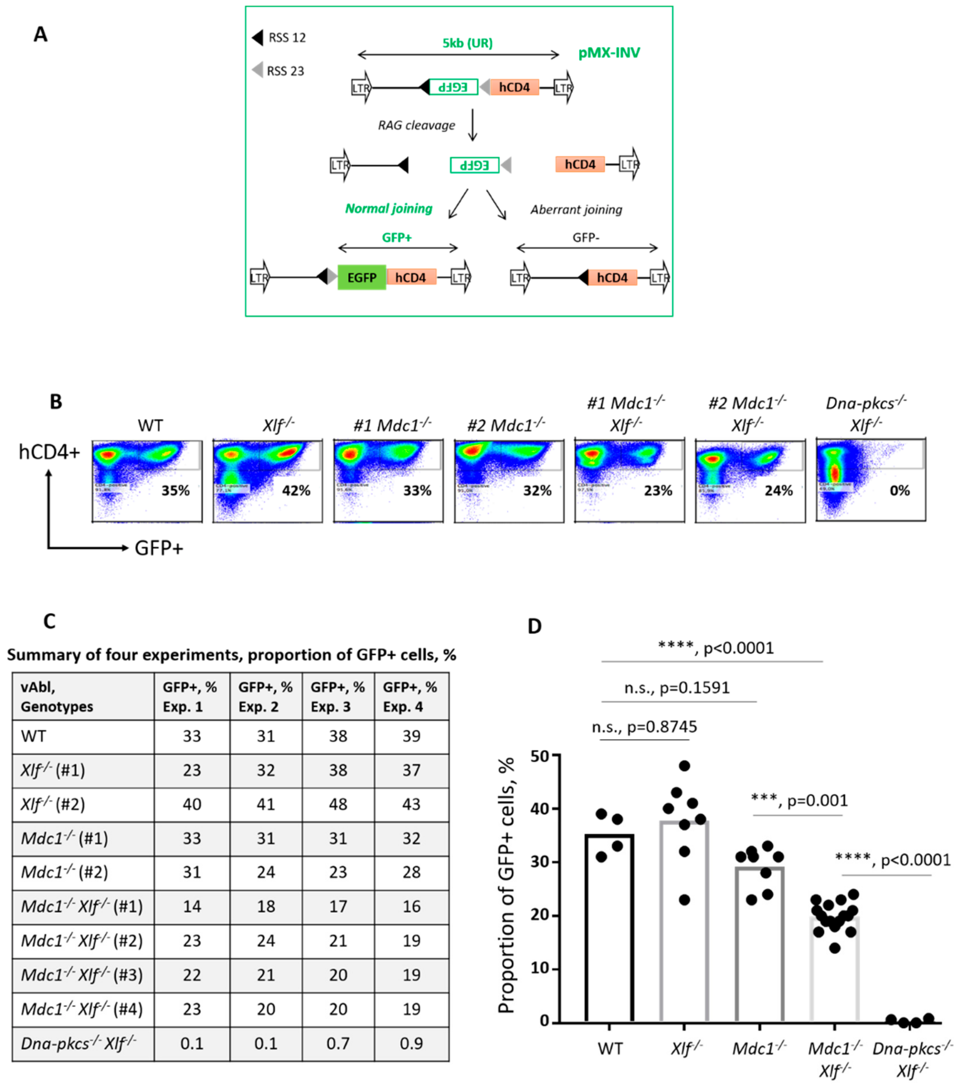 Biomolecules 10 00060 g002