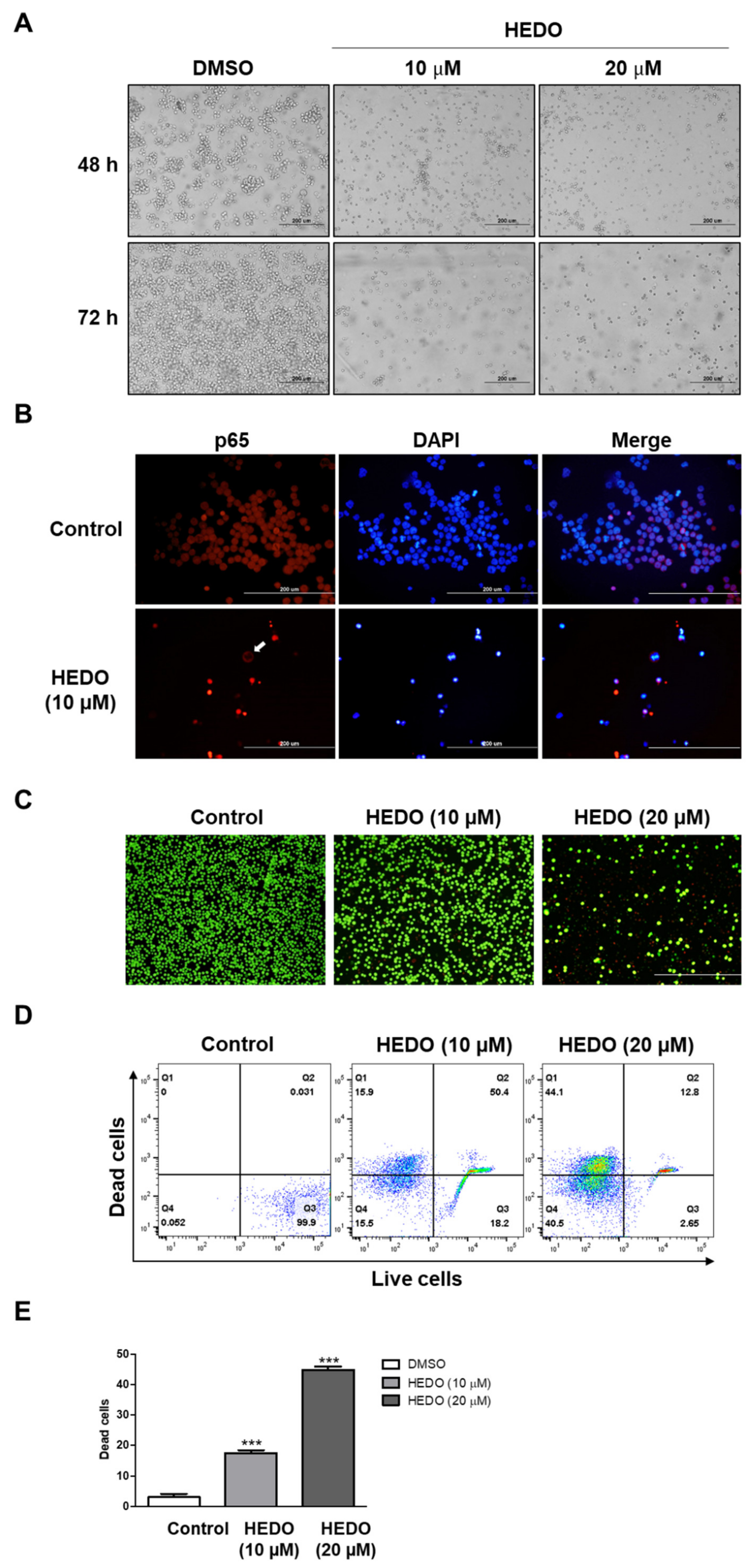 Biomolecules 10 00324 g007