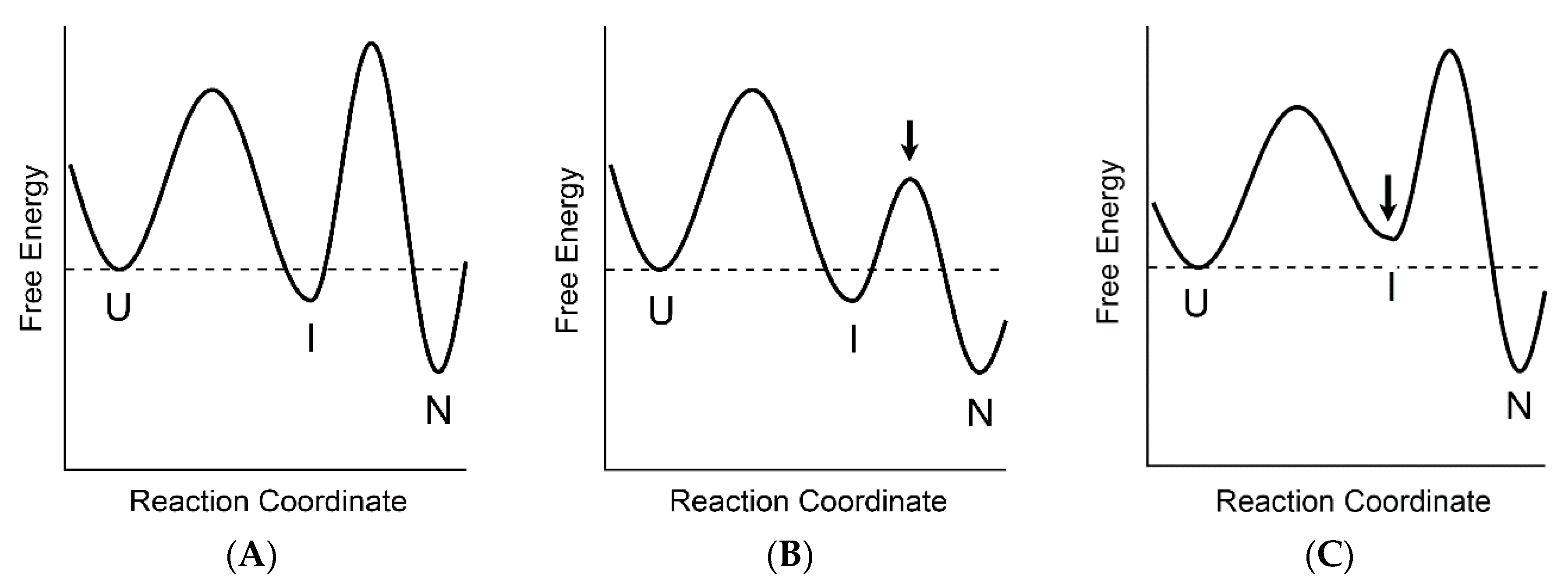 Biomolecules 10 00407 g006 Biomolecules 10 00407 g006
