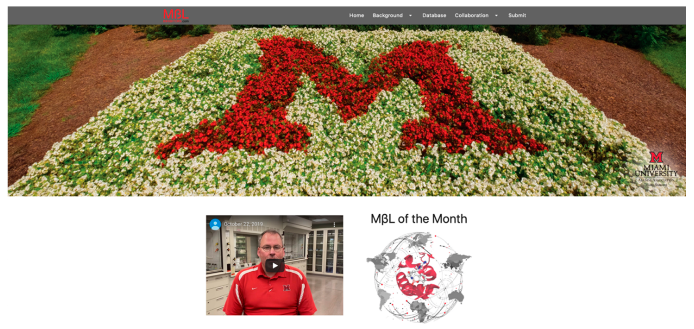 Biomolecules 10 00459 g002 Biomolecules 10 00459 g002