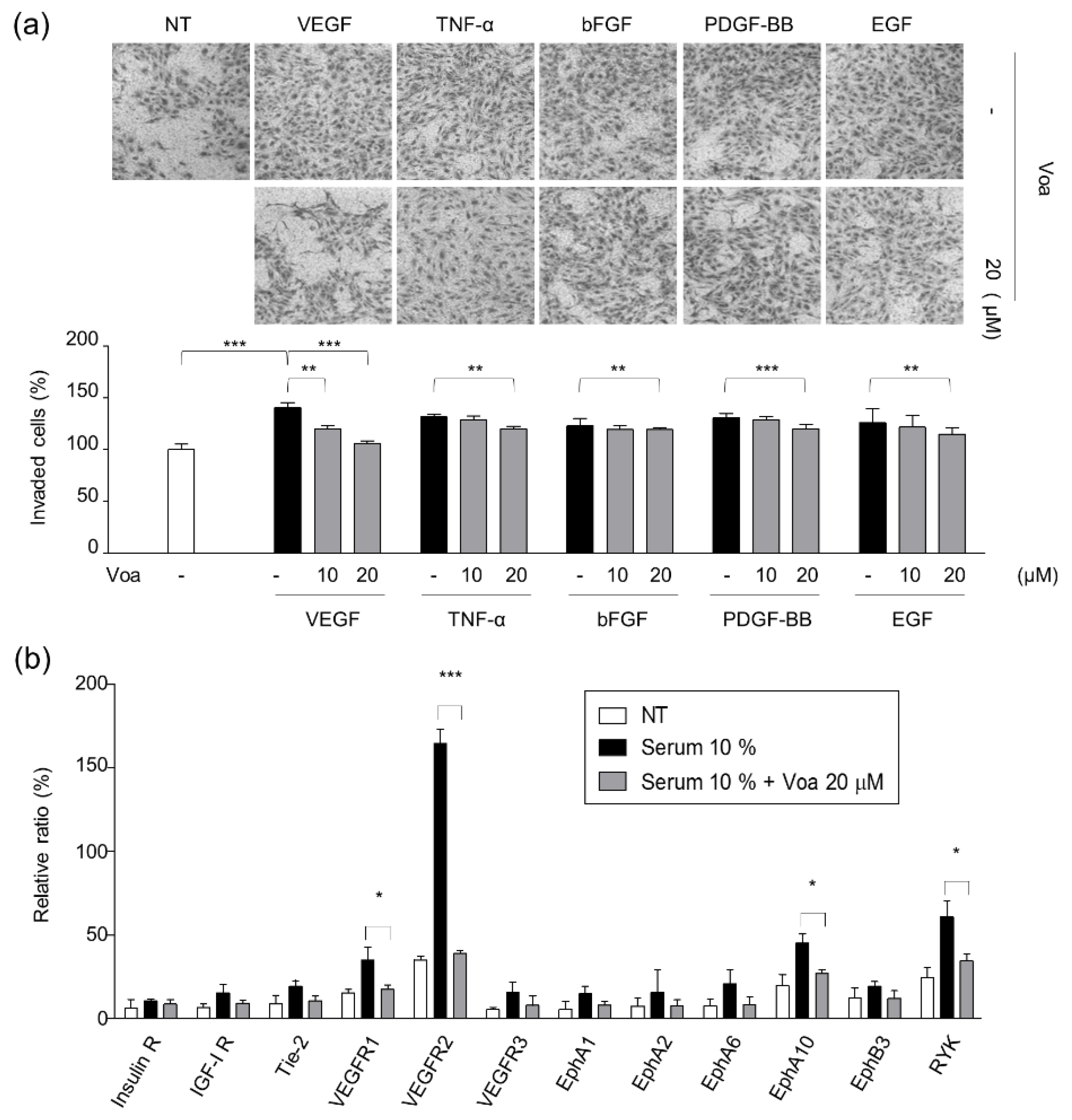 Biomolecules 10 00508 g002 Biomolecules 10 00508 g002