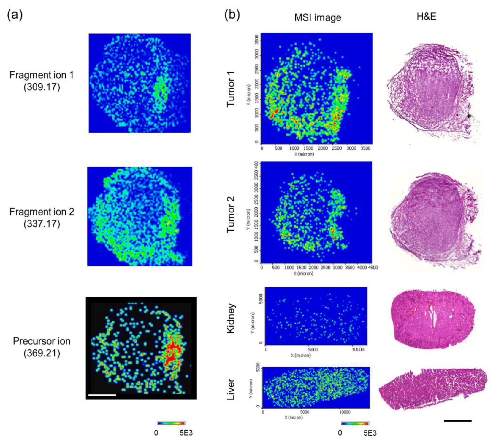Biomolecules 10 00508 g005 Biomolecules 10 00508 g005