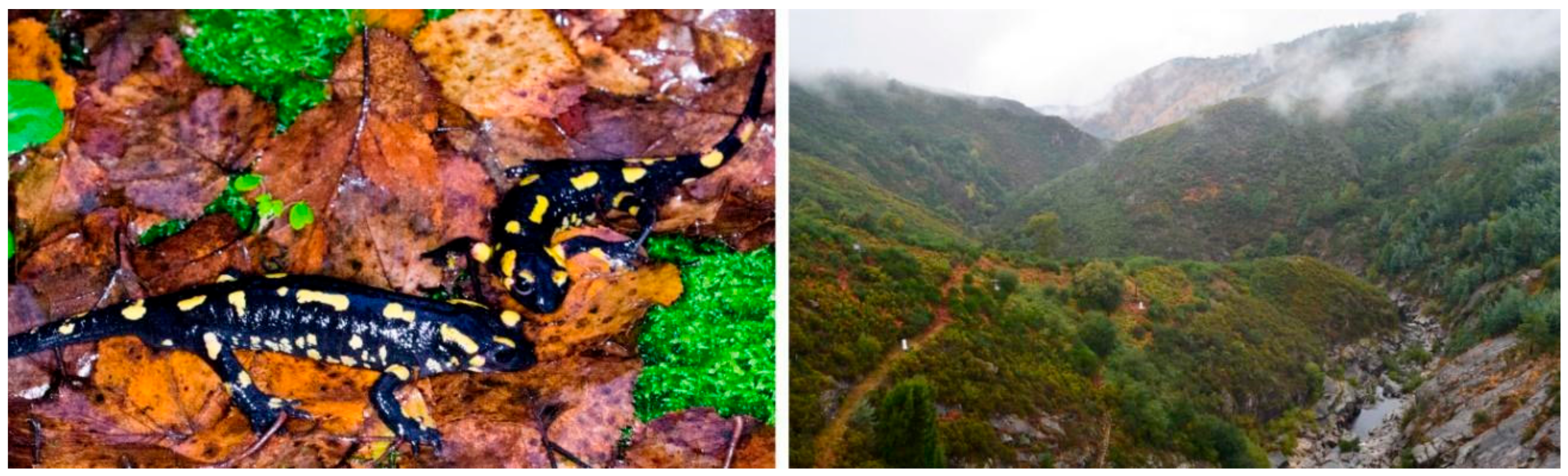 Biomolecules 10 00512 g001