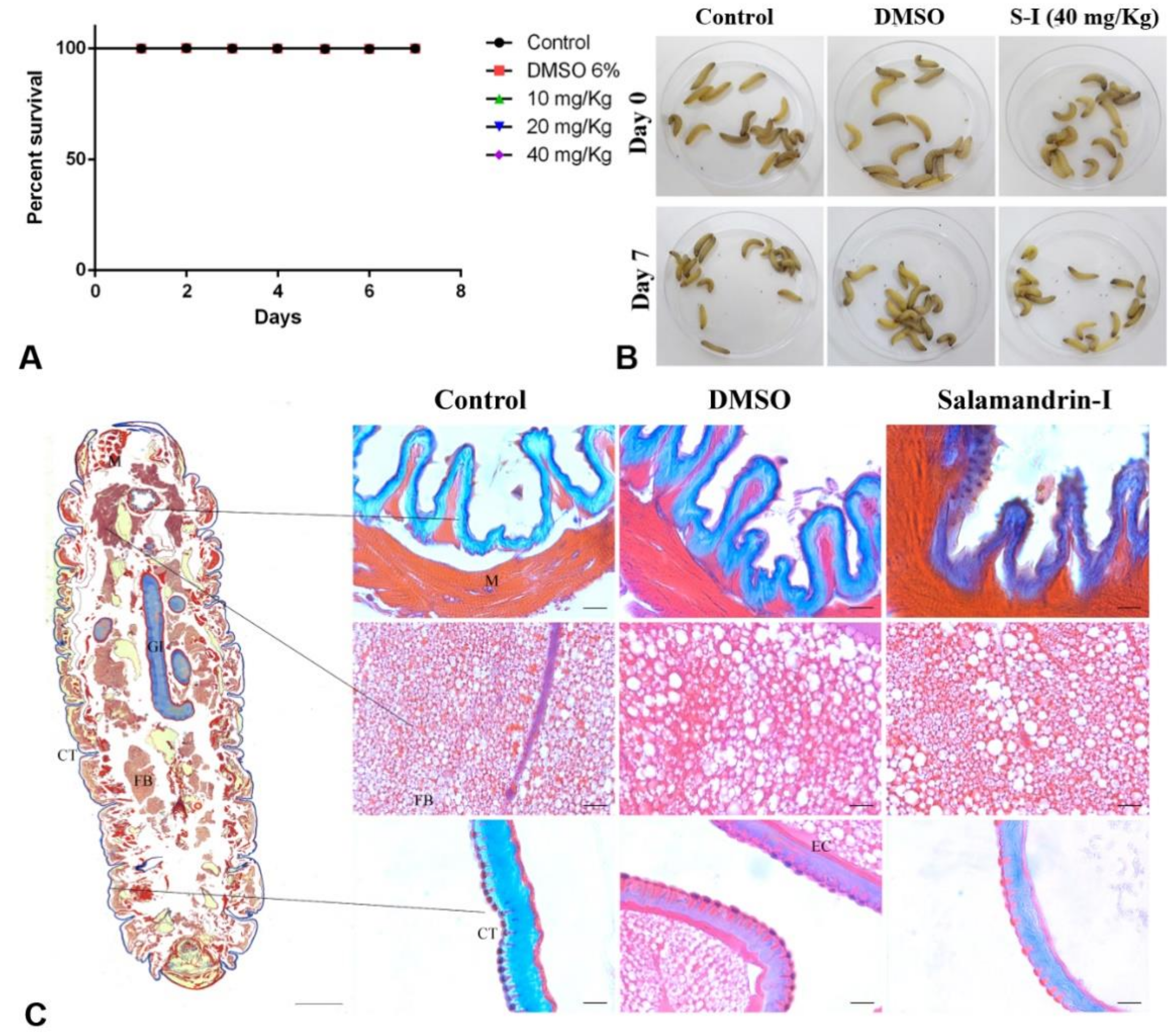 Biomolecules 10 00512 g007
