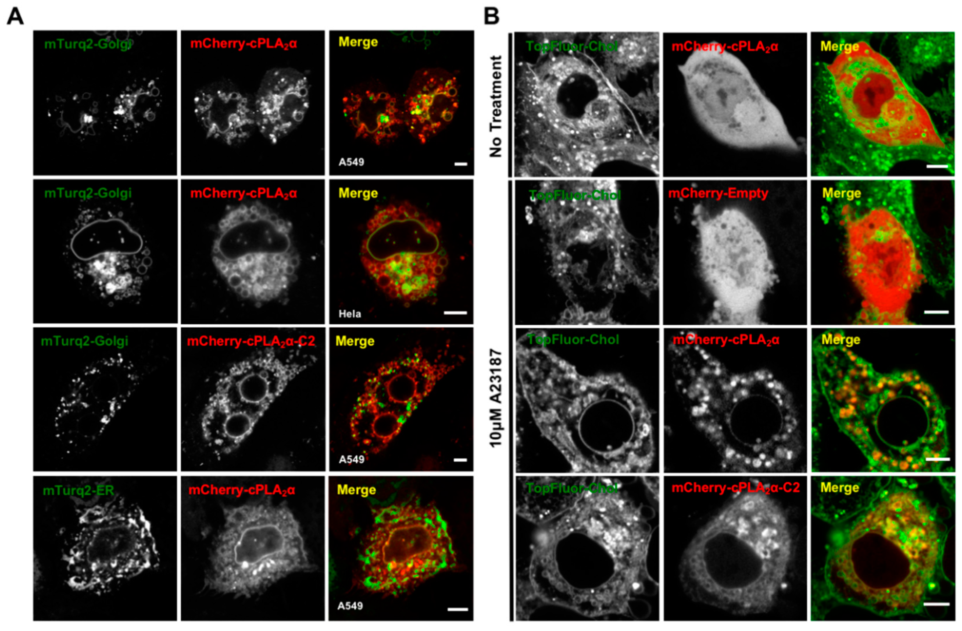 Biomolecules 10 00647 g005