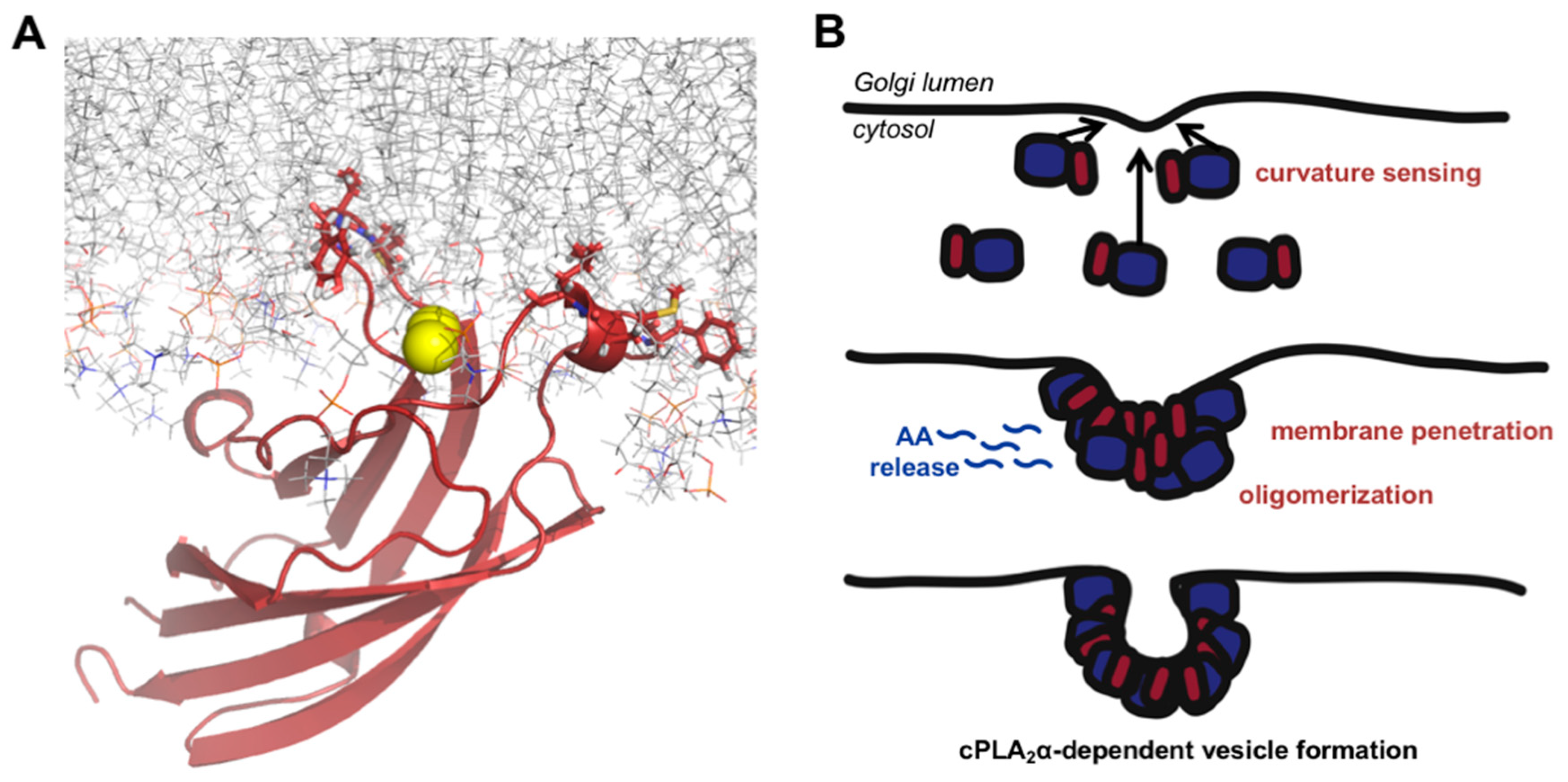 Biomolecules 10 00647 g009