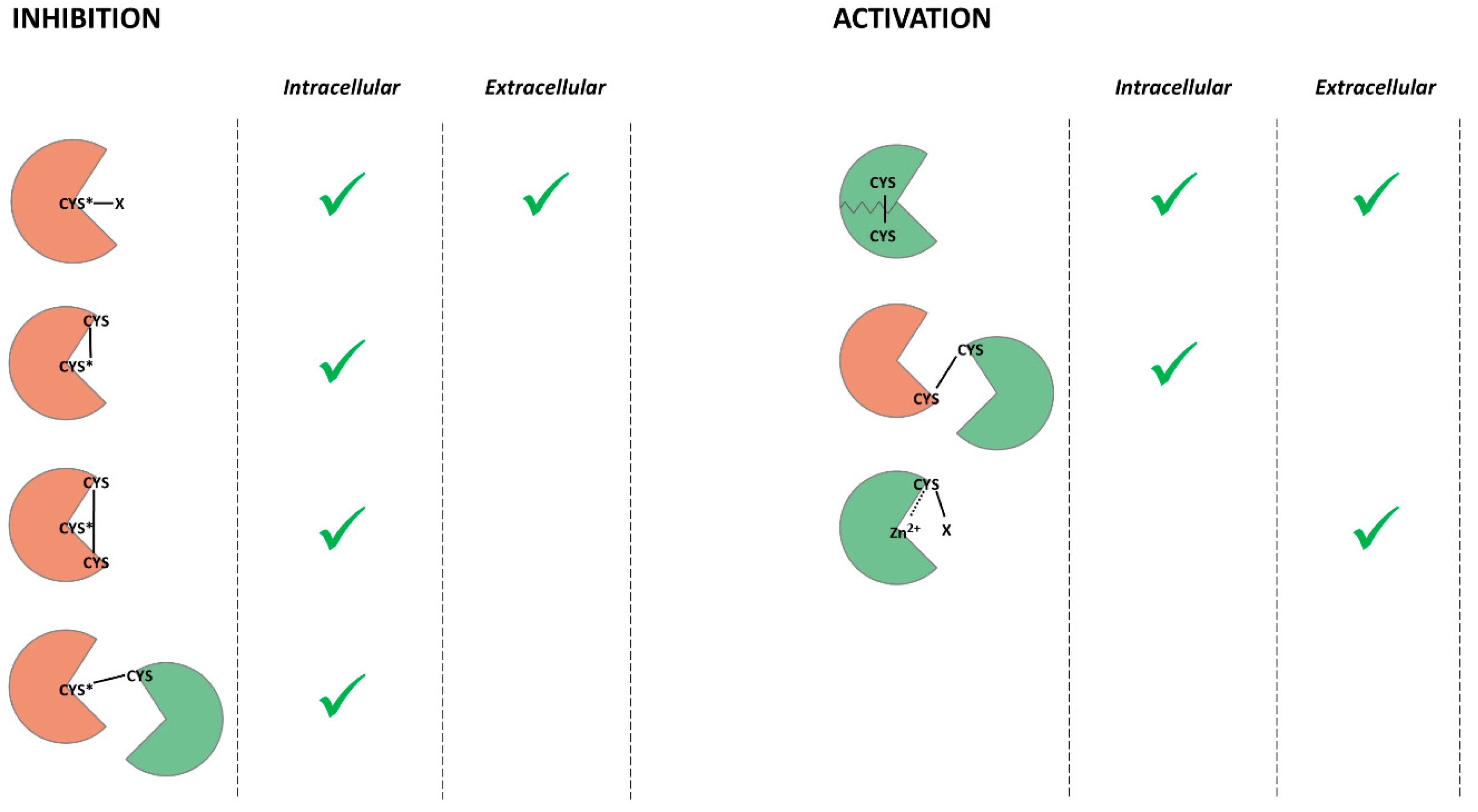 Biomolecules Free Full Text Redox Mediated Post Translational