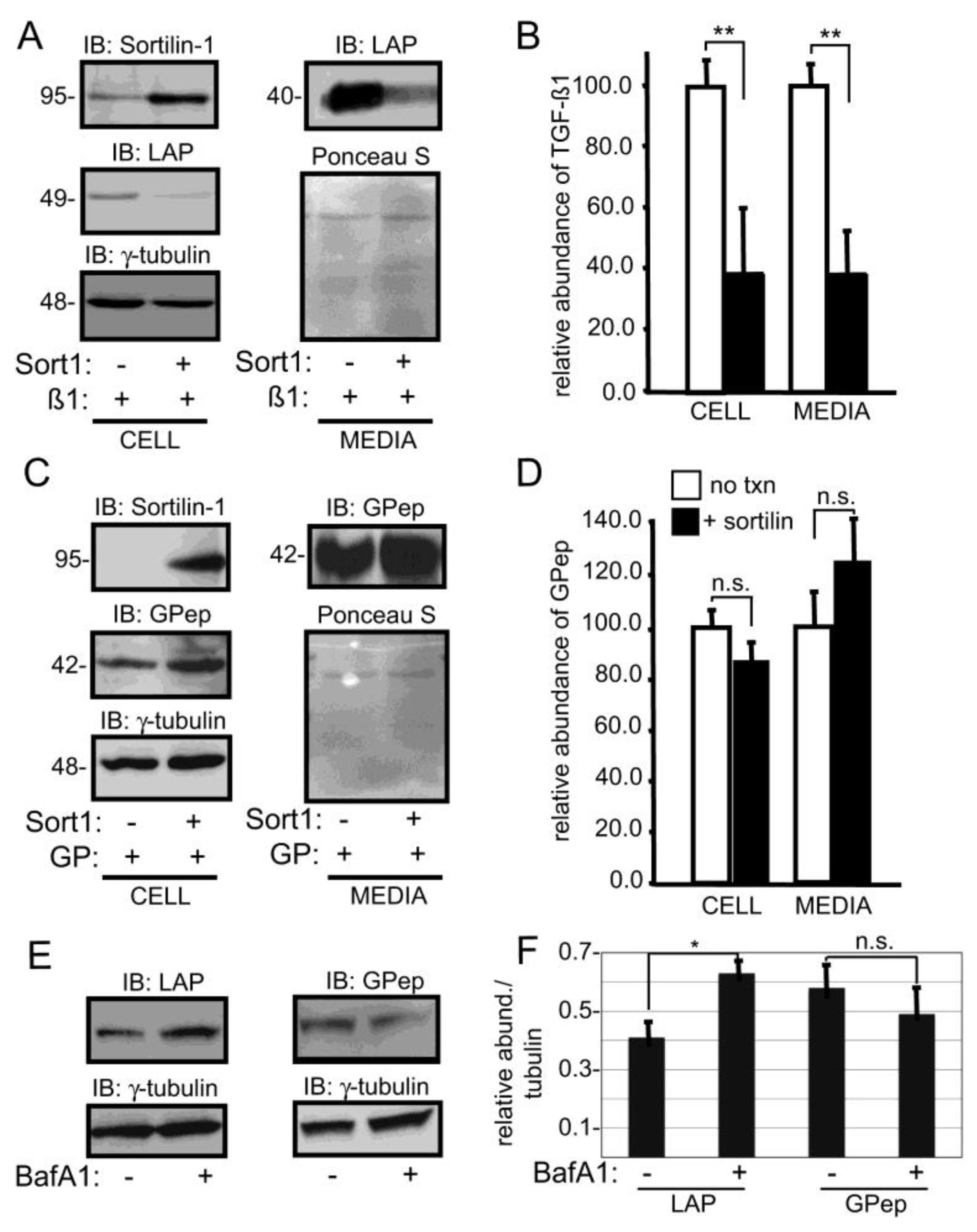 Biomolecules 10 00670 g006