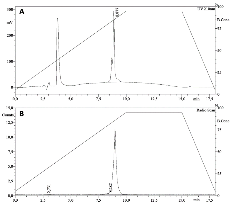 Biomolecules 11 00232 g002