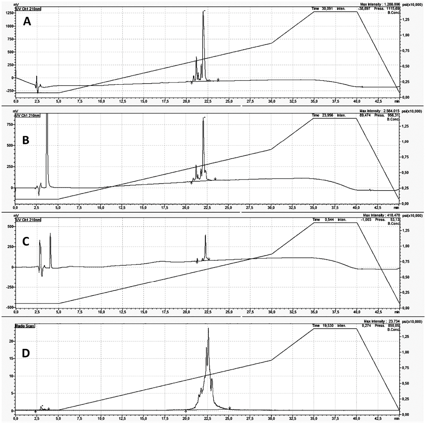 Biomolecules 11 00232 g004