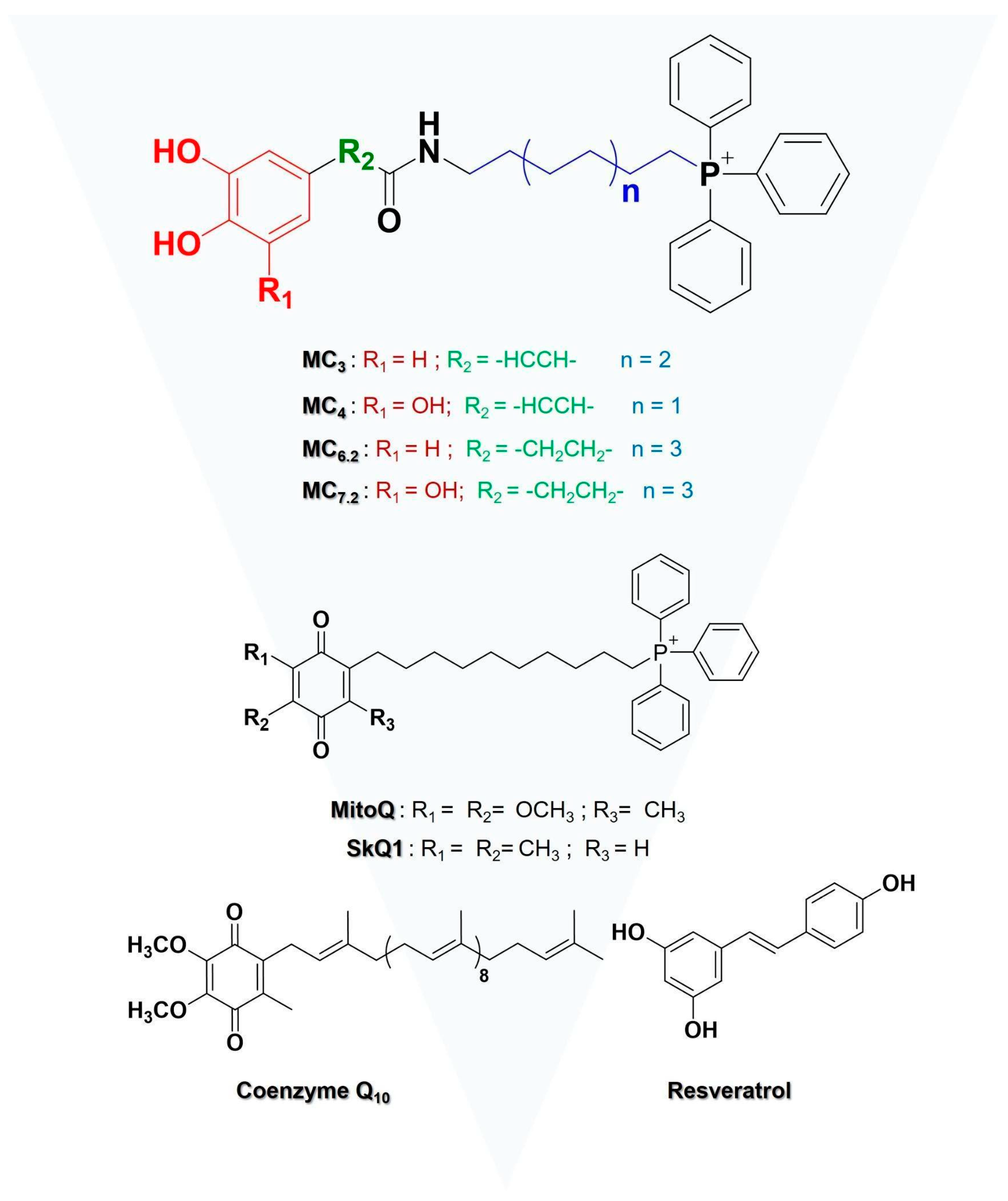 Biomolecules 11 01605 g001