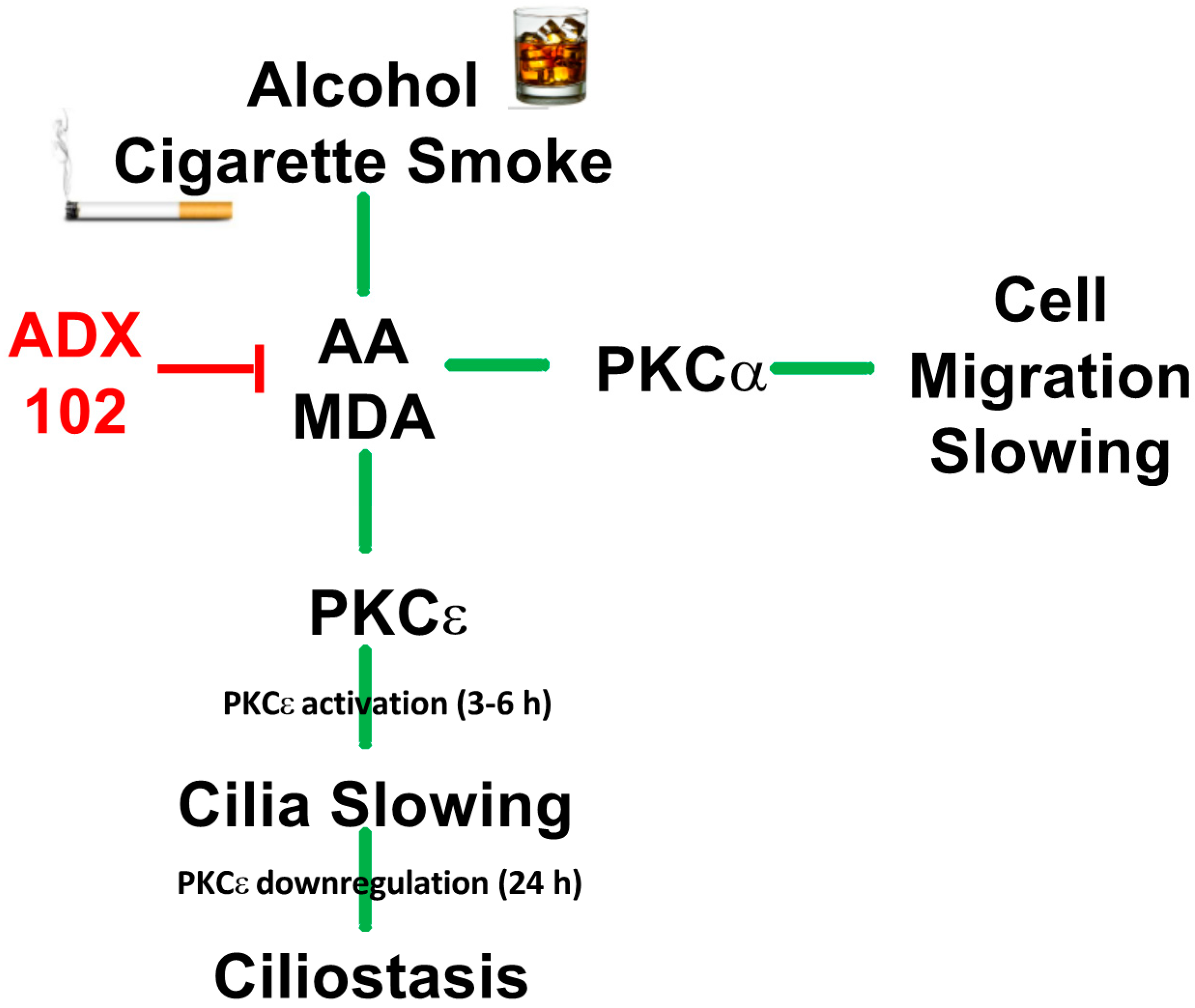 Biomolecules 12 00393 g008