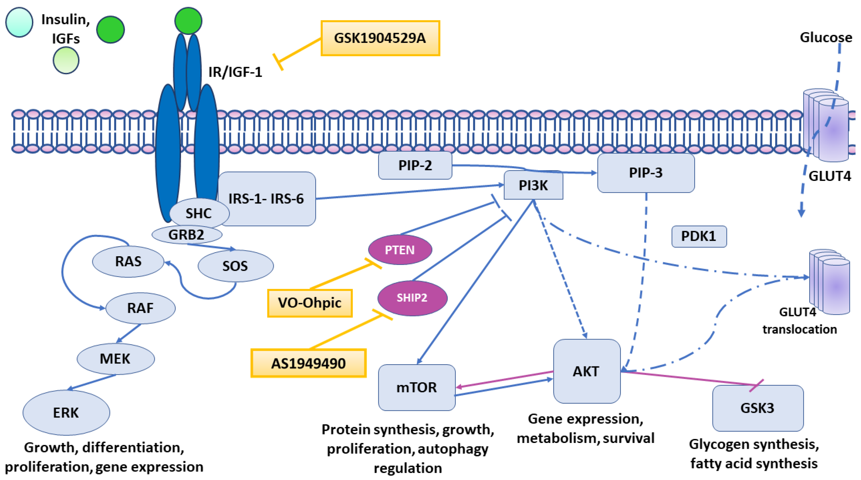 Biomolecules 12 00563 g001
