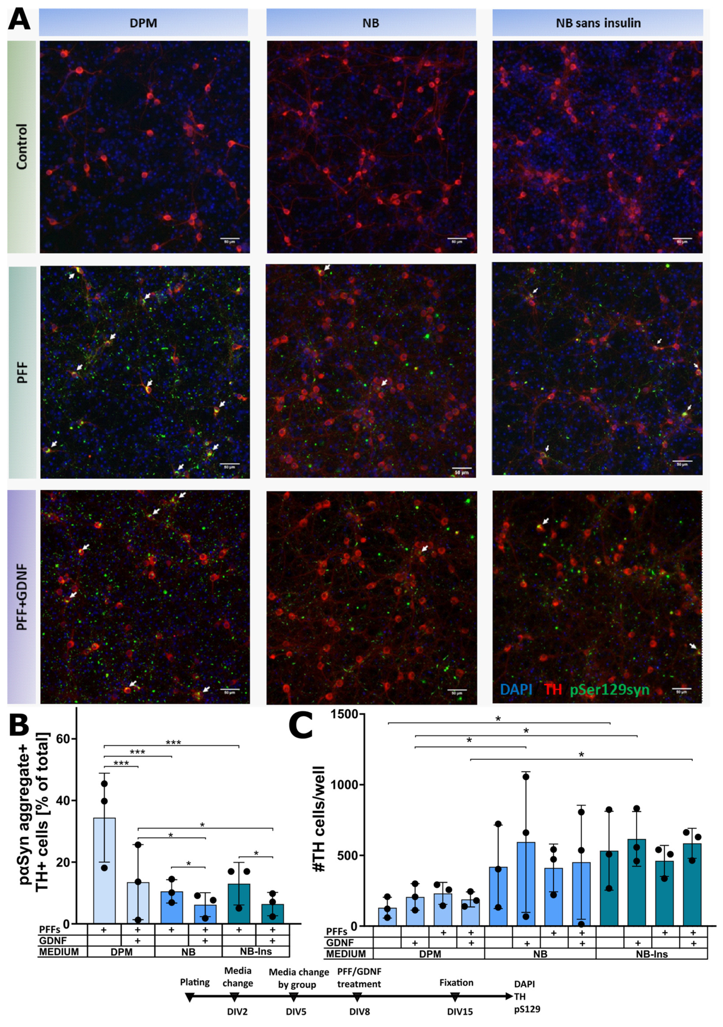 Biomolecules 12 00563 g005
