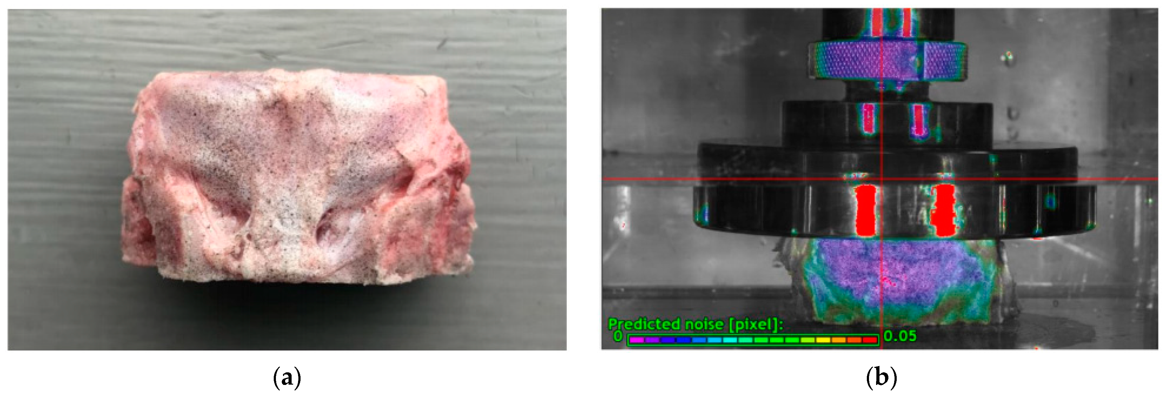 Biomolecules 12 01097 g002
